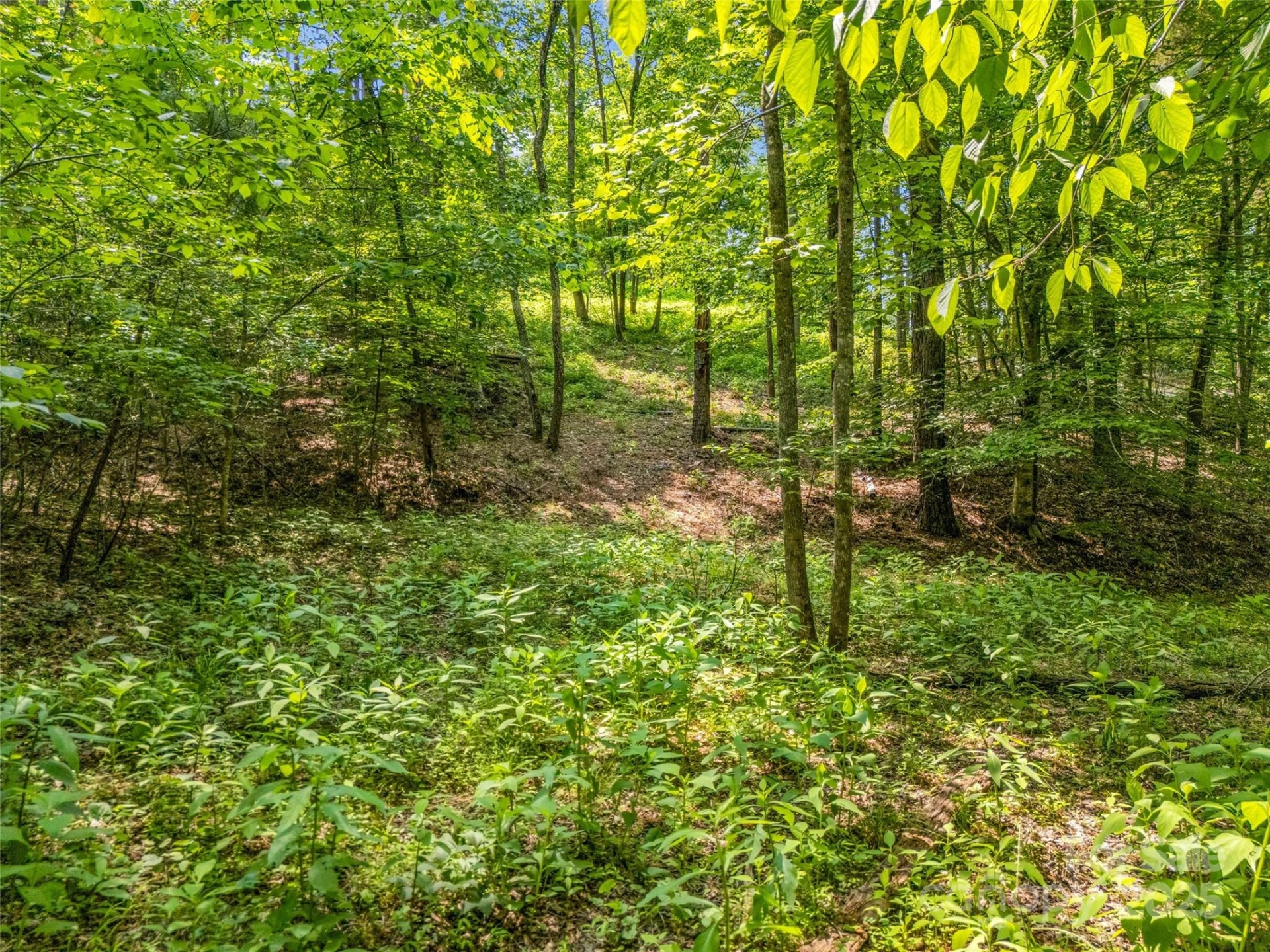 0 Creekside Circle #120 - Photo 9