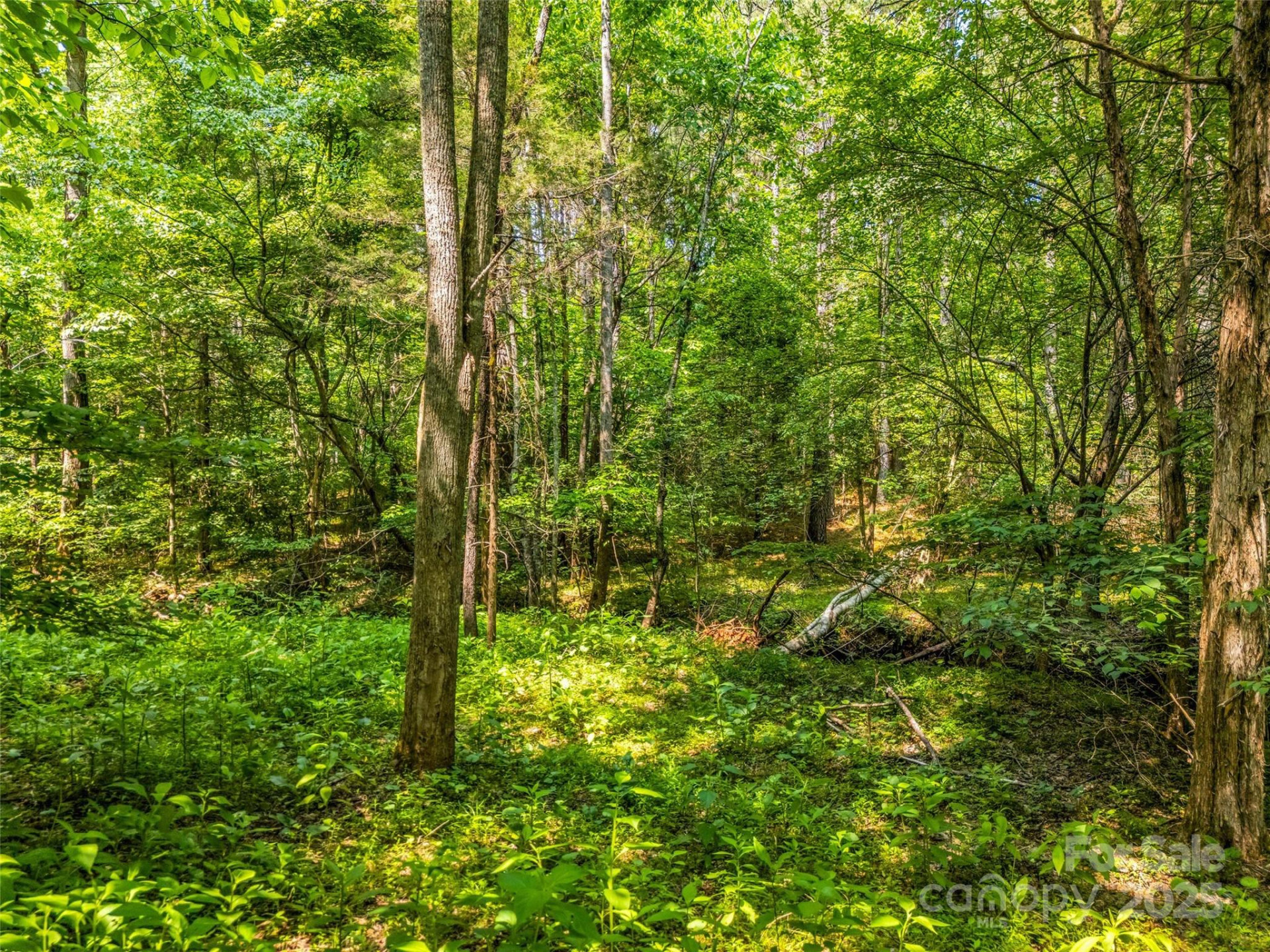 0 Creekside Circle #120 - Photo 10