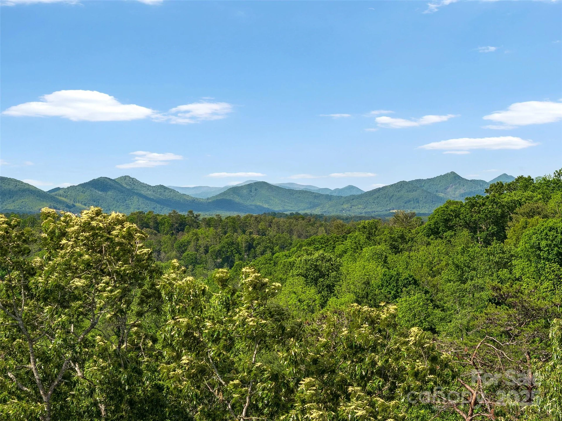 144 Pinebrook Road - Photo 5