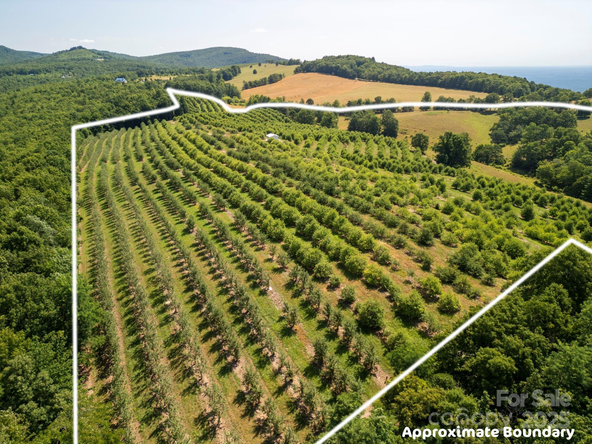 SR1713 Summer Road - Photo 2