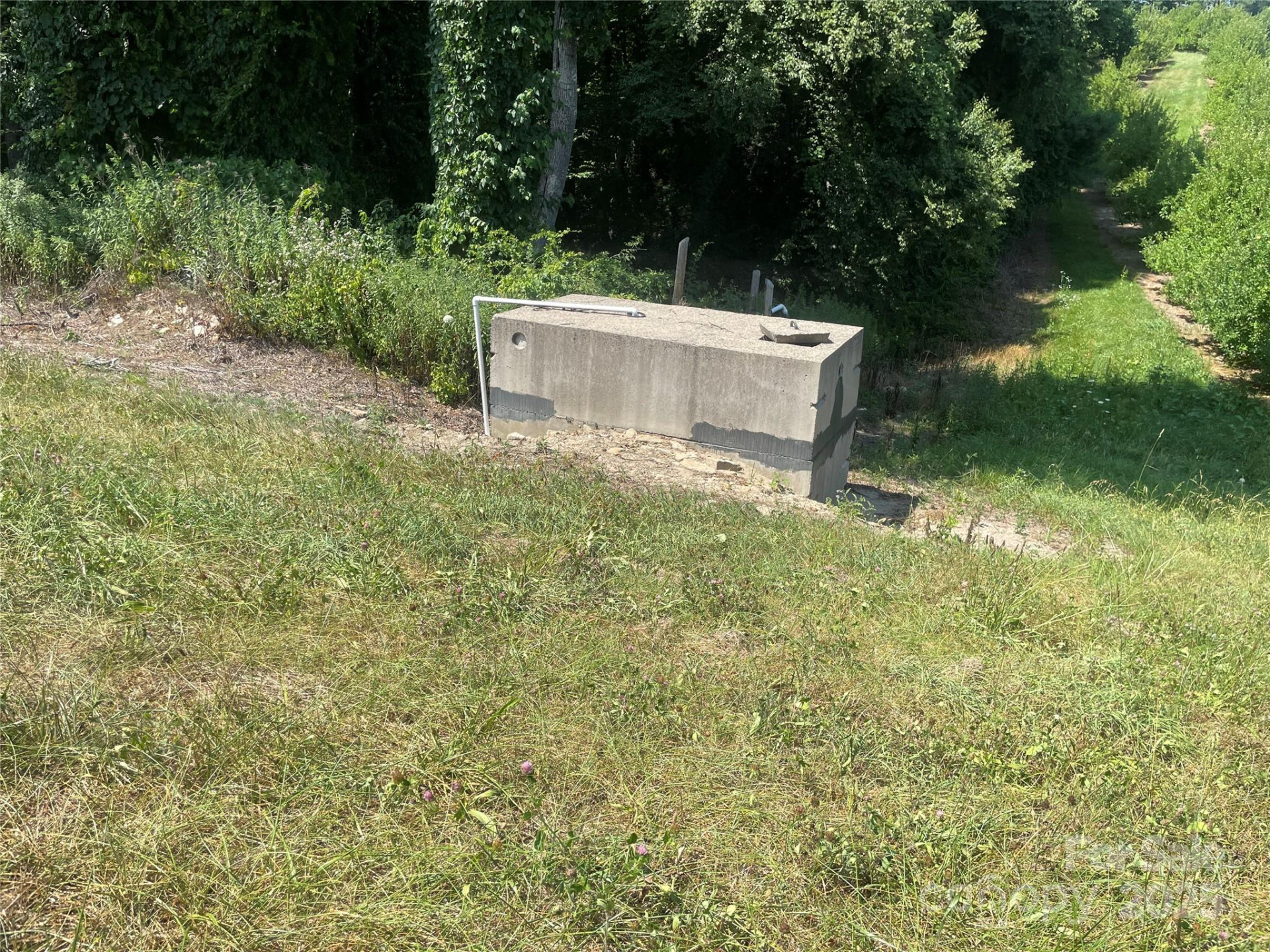 00 Summer Road - Photo 12