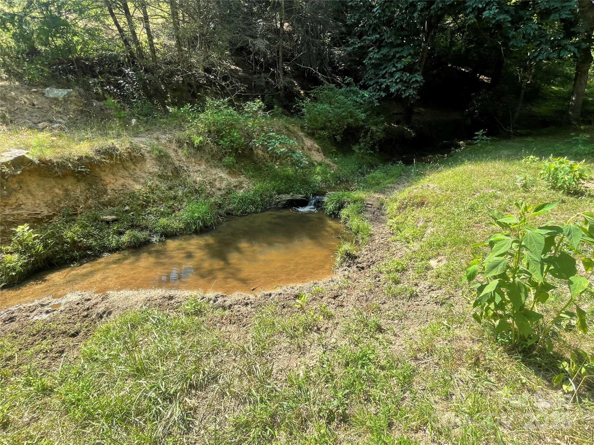 00 Summer Road - Photo 5