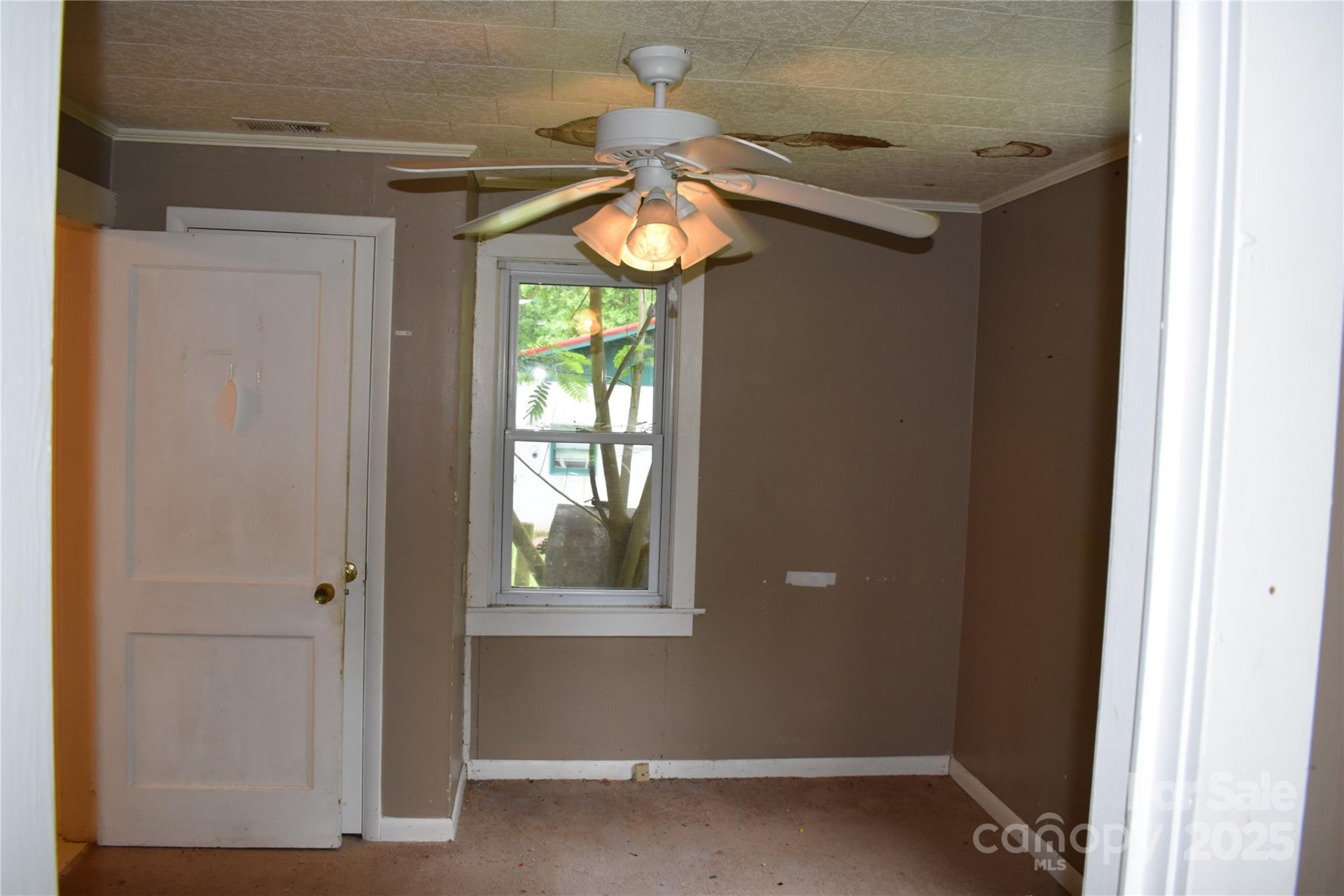 18417 Hwy 221 Highway - Photo 5