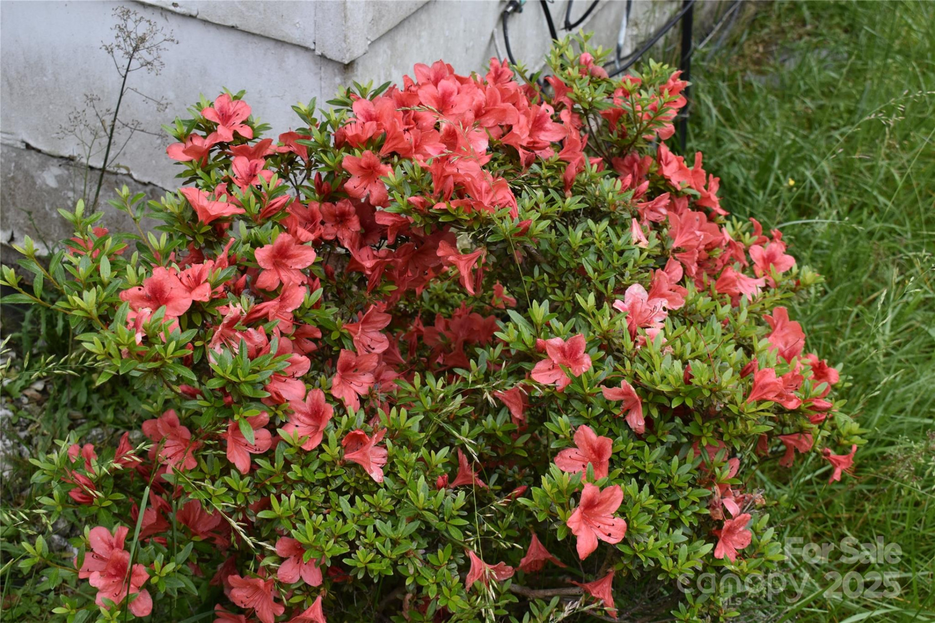 18417 Hwy 221 Highway - Photo 8