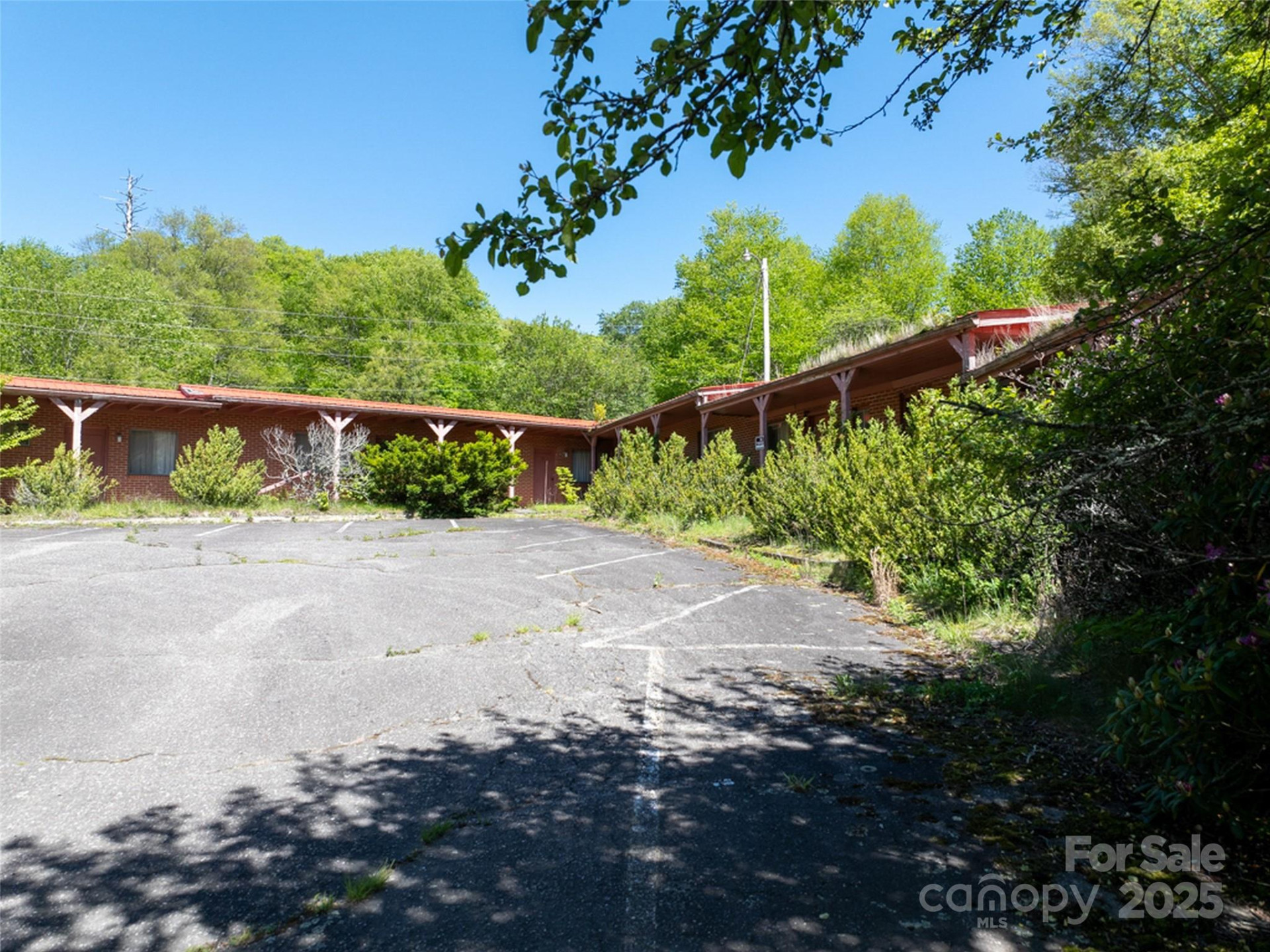 11242 US 19 Highway - Photo 7