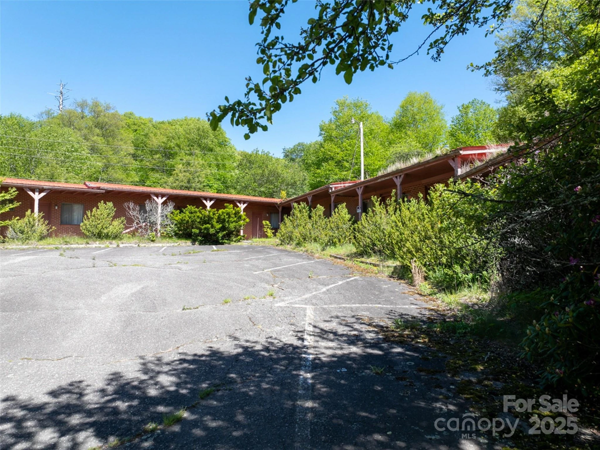 11242 US 19 Highway - Photo 7