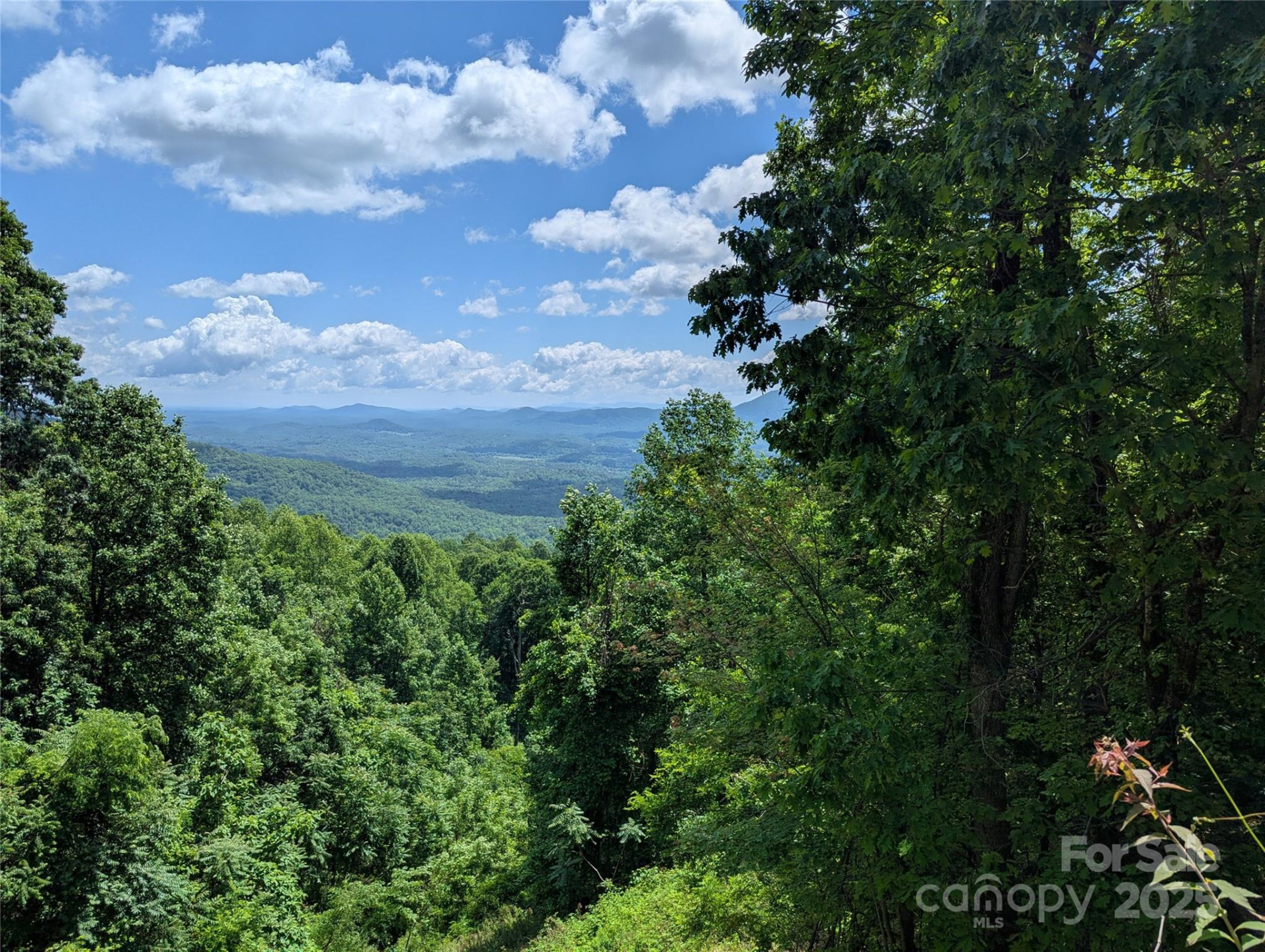 67 Creston Drive #T-17 - Photo 2