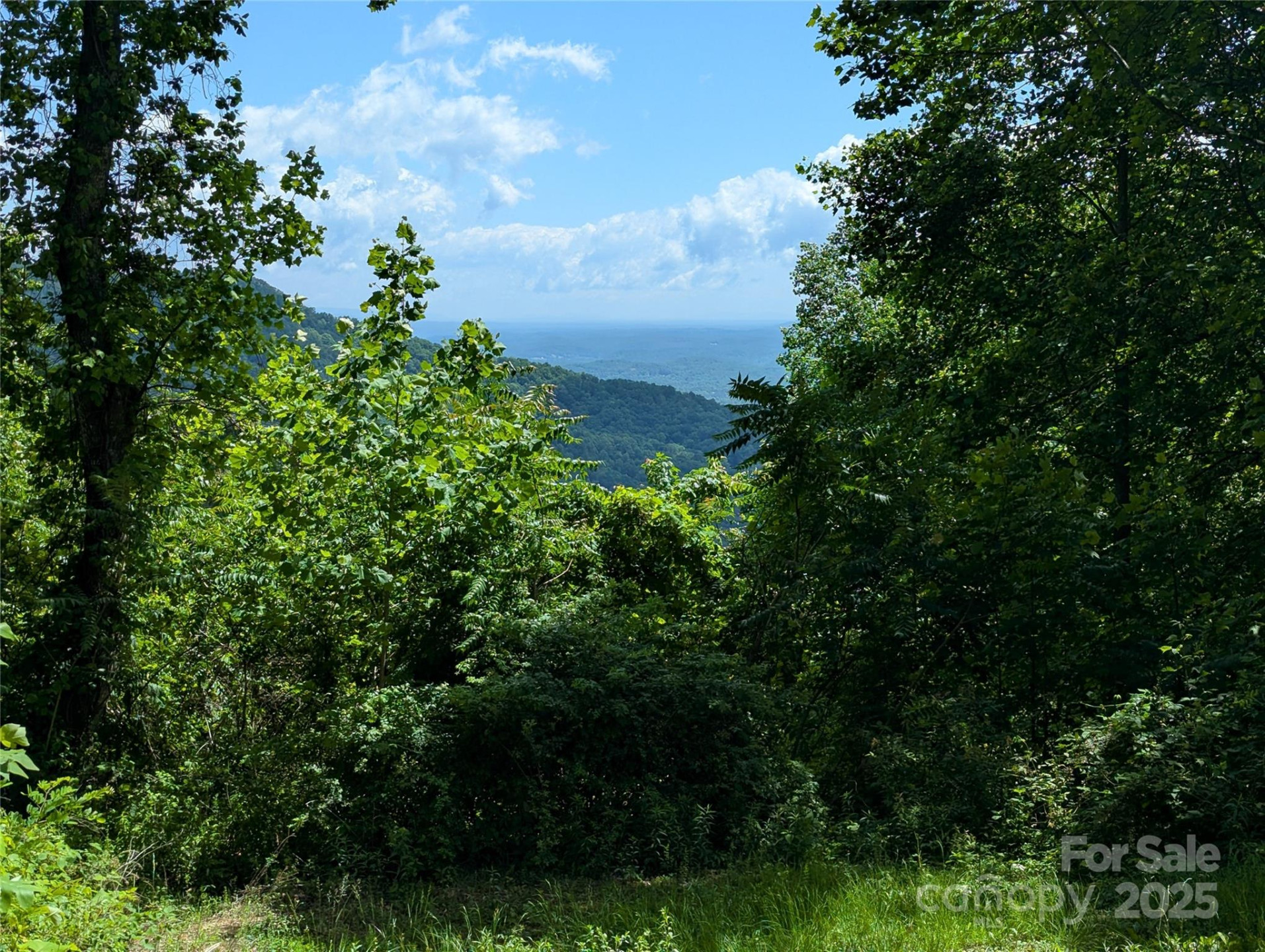 67 Creston Drive #T-17 - Photo 13