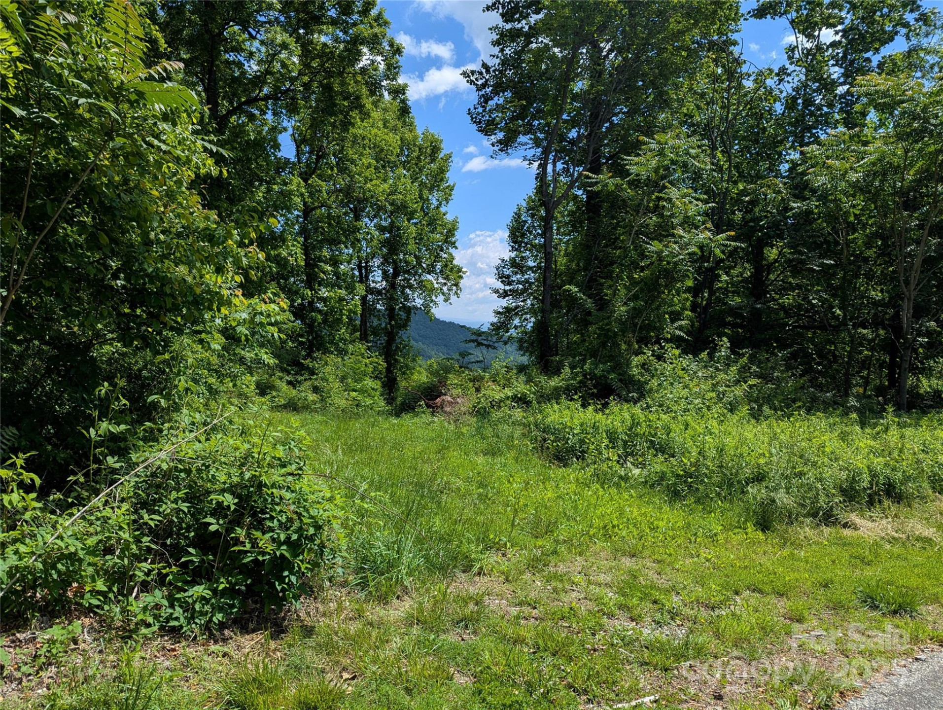 67 Creston Drive #T-17 - Photo 5