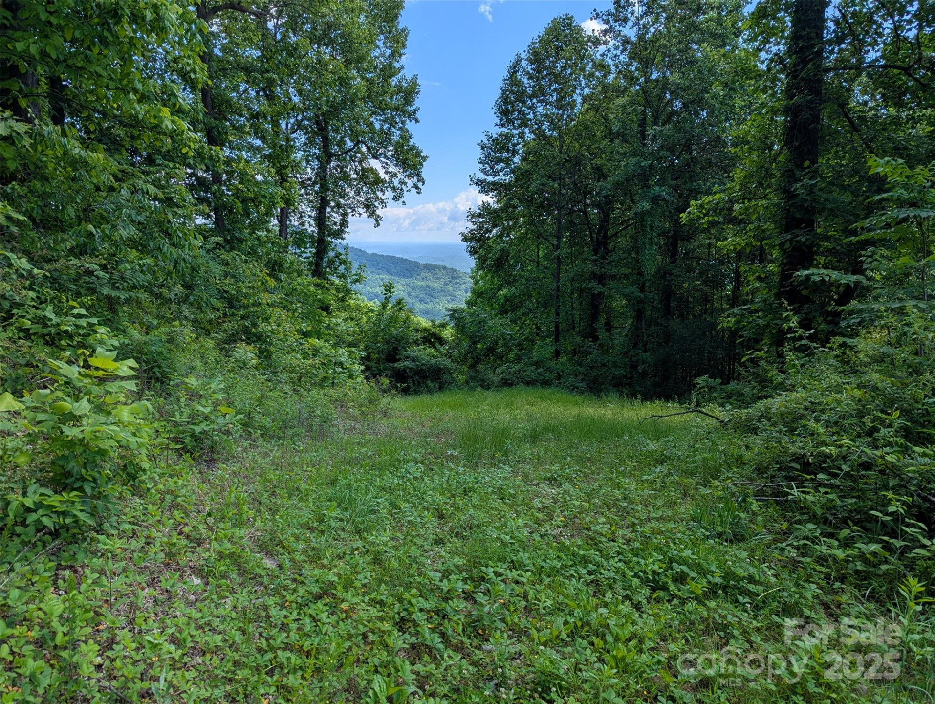 67 Creston Drive #T-17 - Photo 6