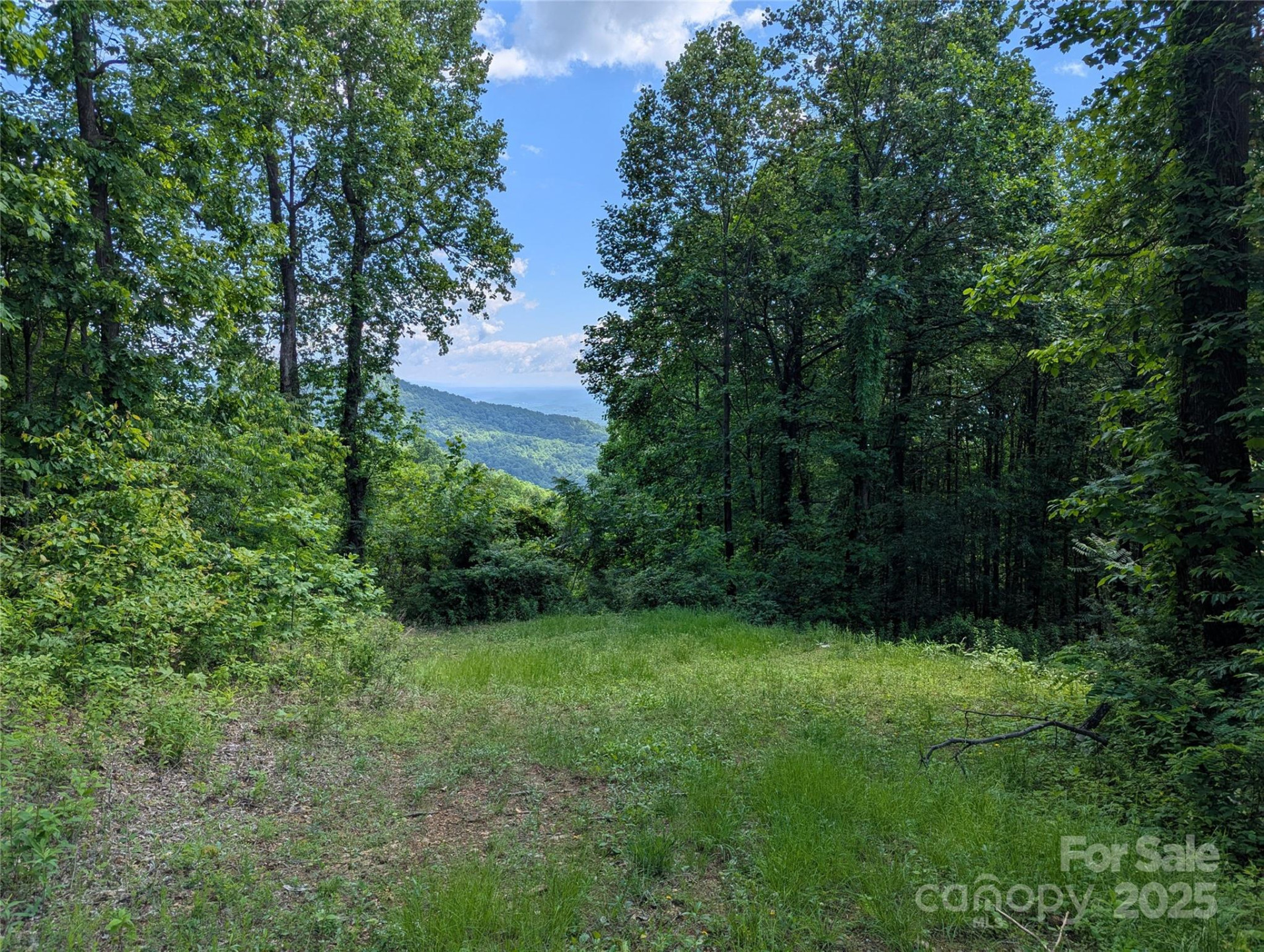 67 Creston Drive #T-17 - Photo 7