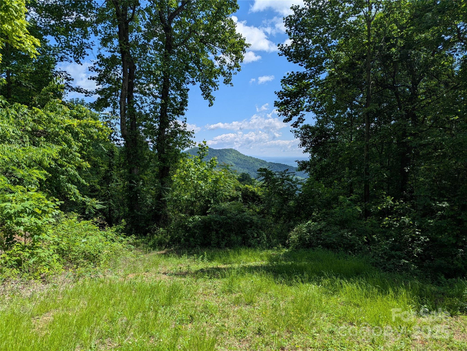 67 Creston Drive #T-17 - Photo 9