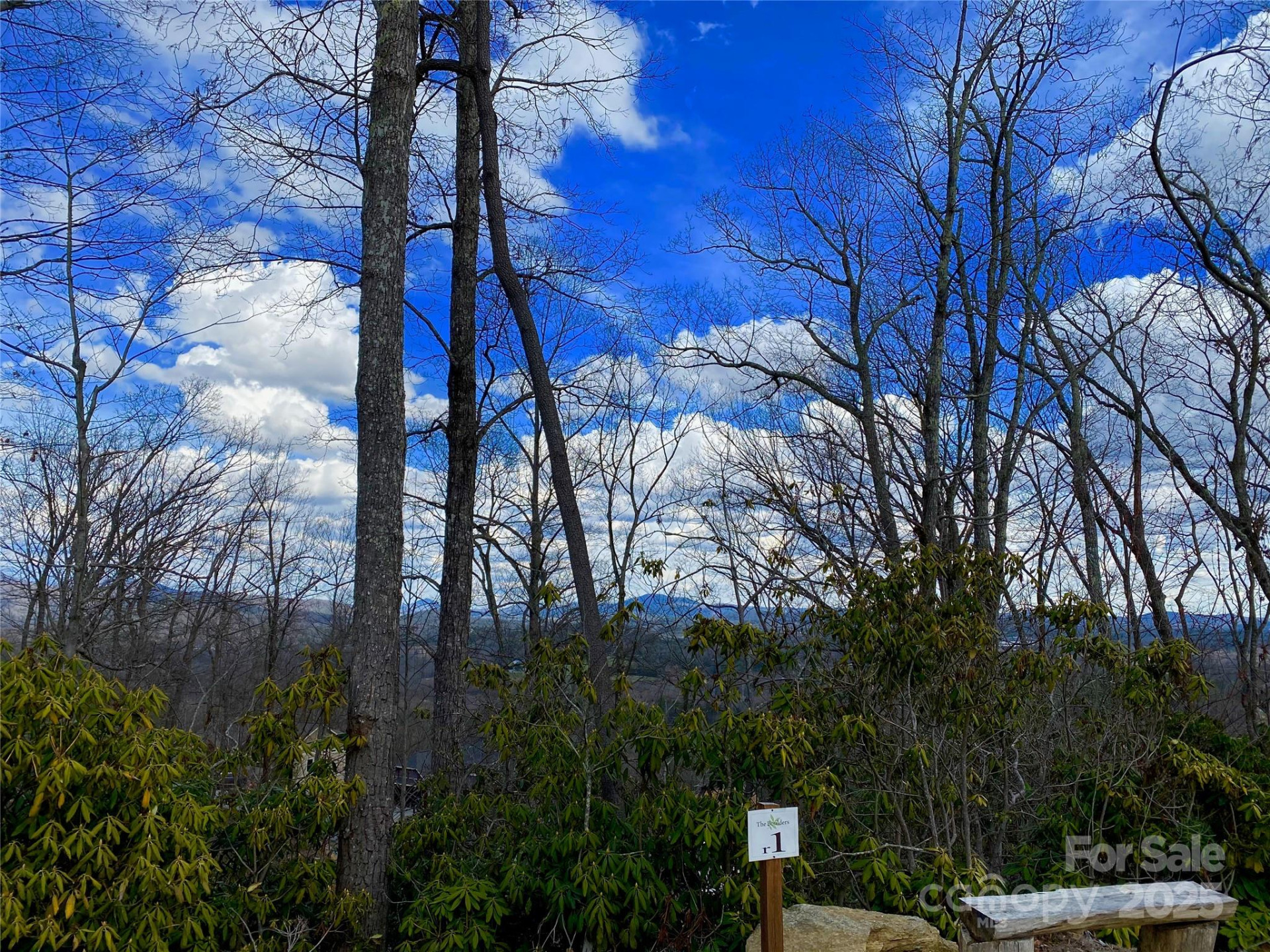 r1 Curtain Bluff - Photo 2