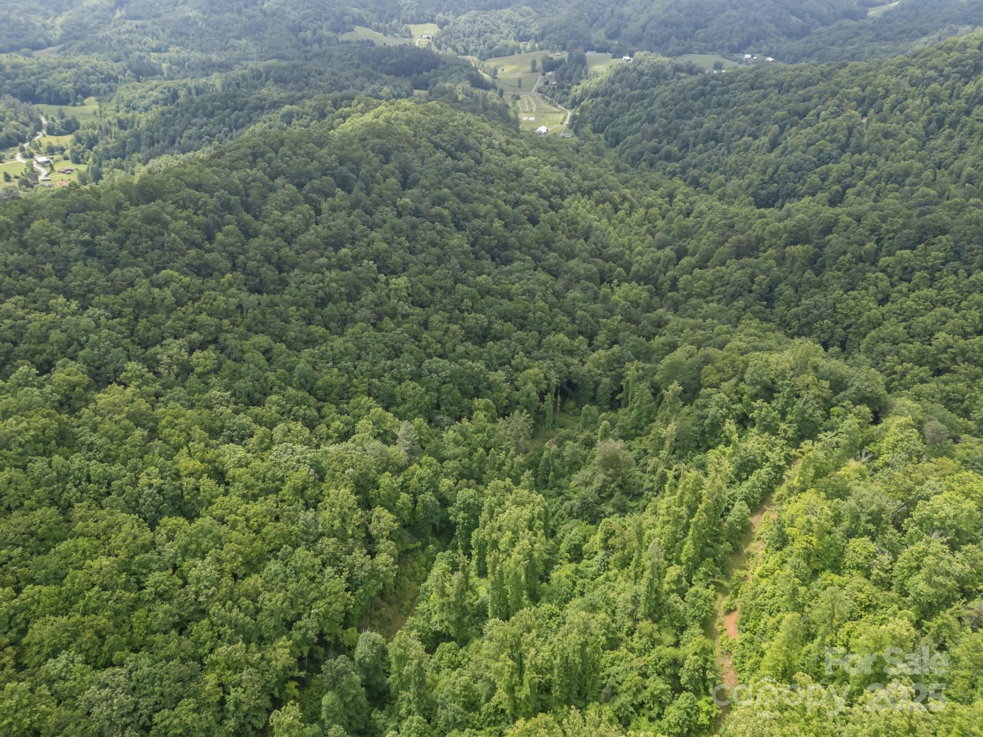 9999 Burnette Reeves Road - Photo 11