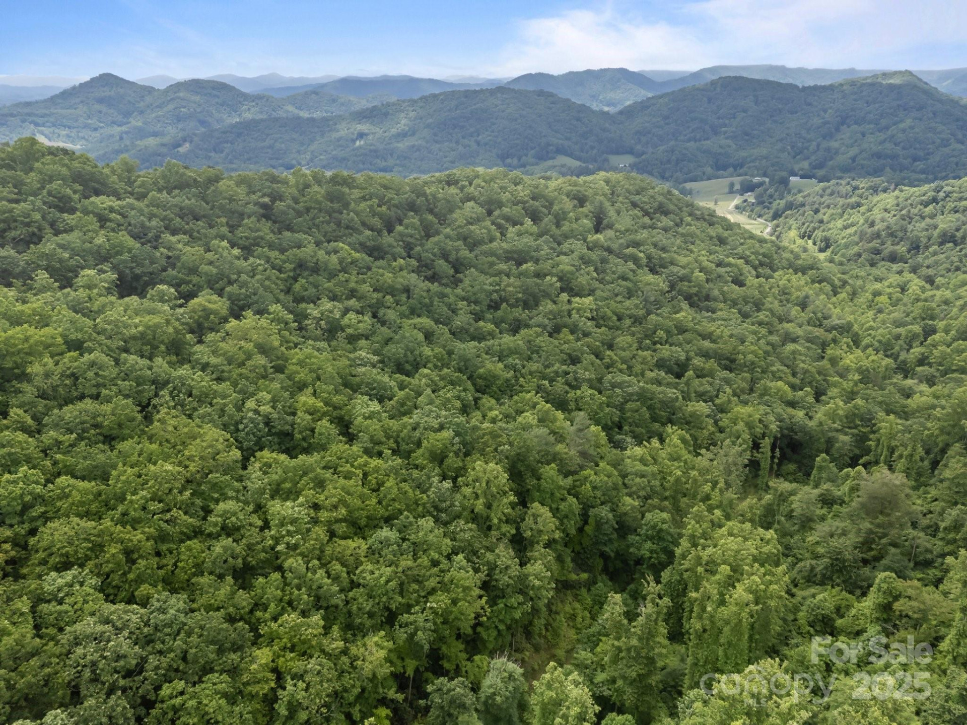 9999 Burnette Reeves Road - Photo 12