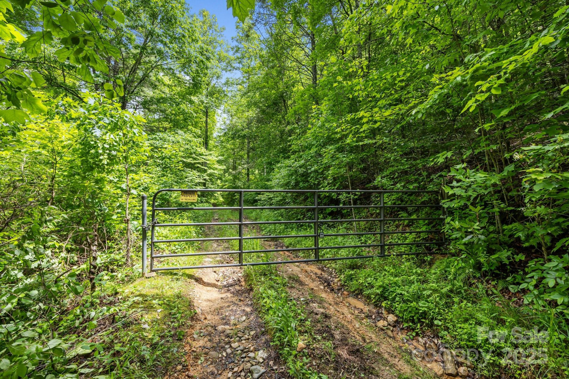 9999 Burnette Reeves Road - Photo 3