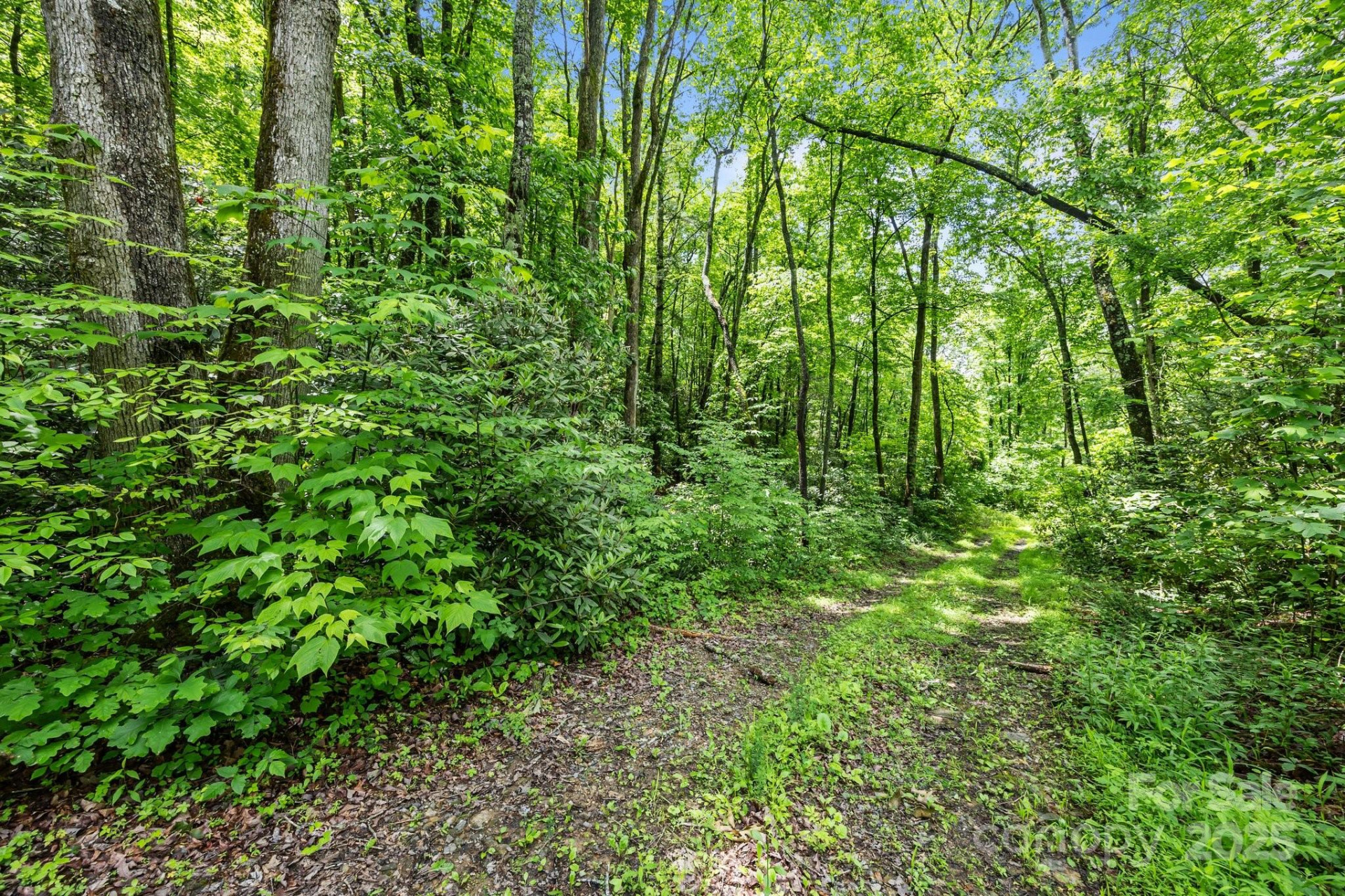 9999 Burnette Reeves Road - Photo 4