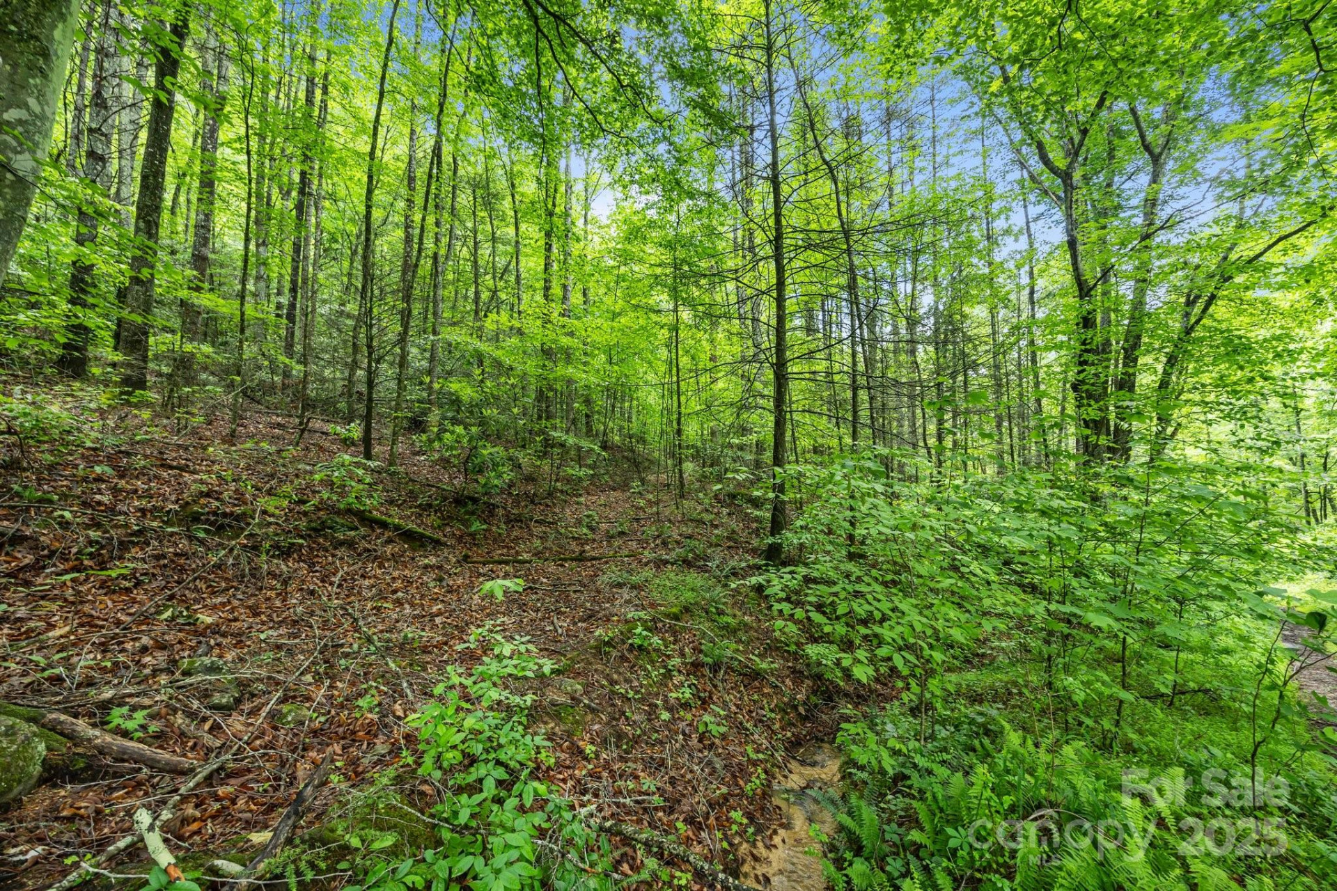 9999 Burnette Reeves Road - Photo 5