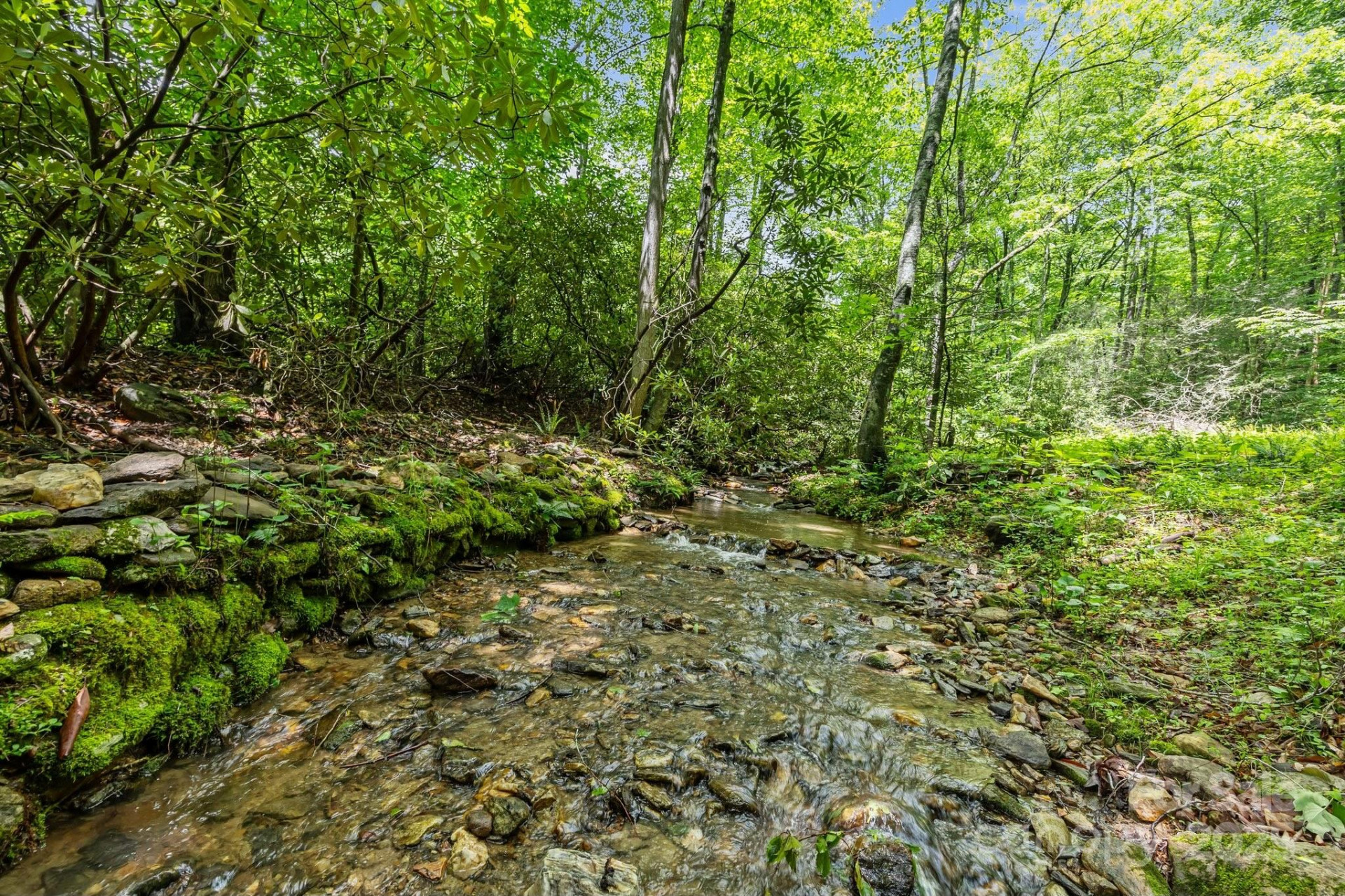 9999 Burnette Reeves Road - Photo 6