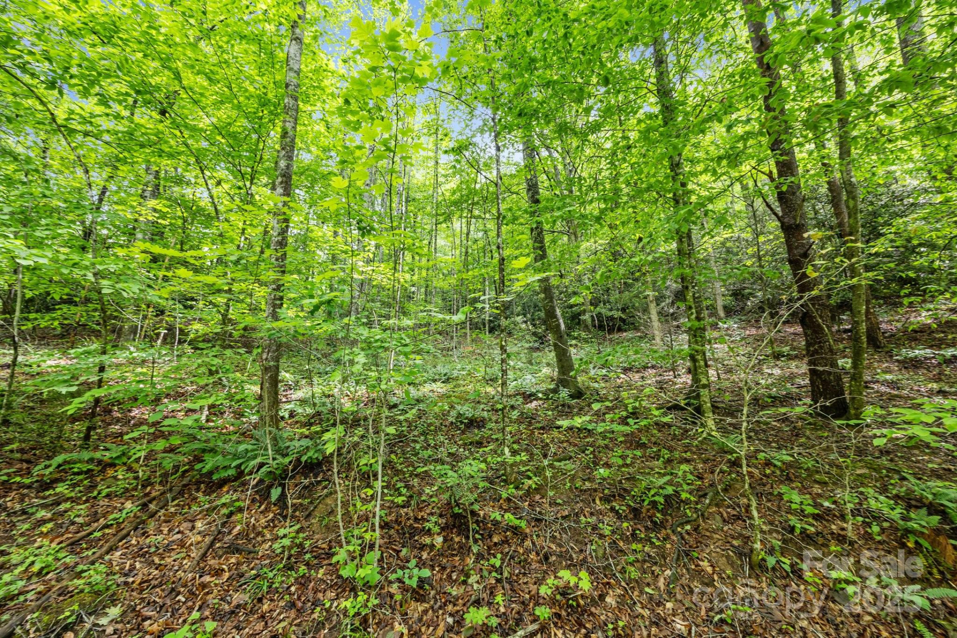 9999 Burnette Reeves Road - Photo 7