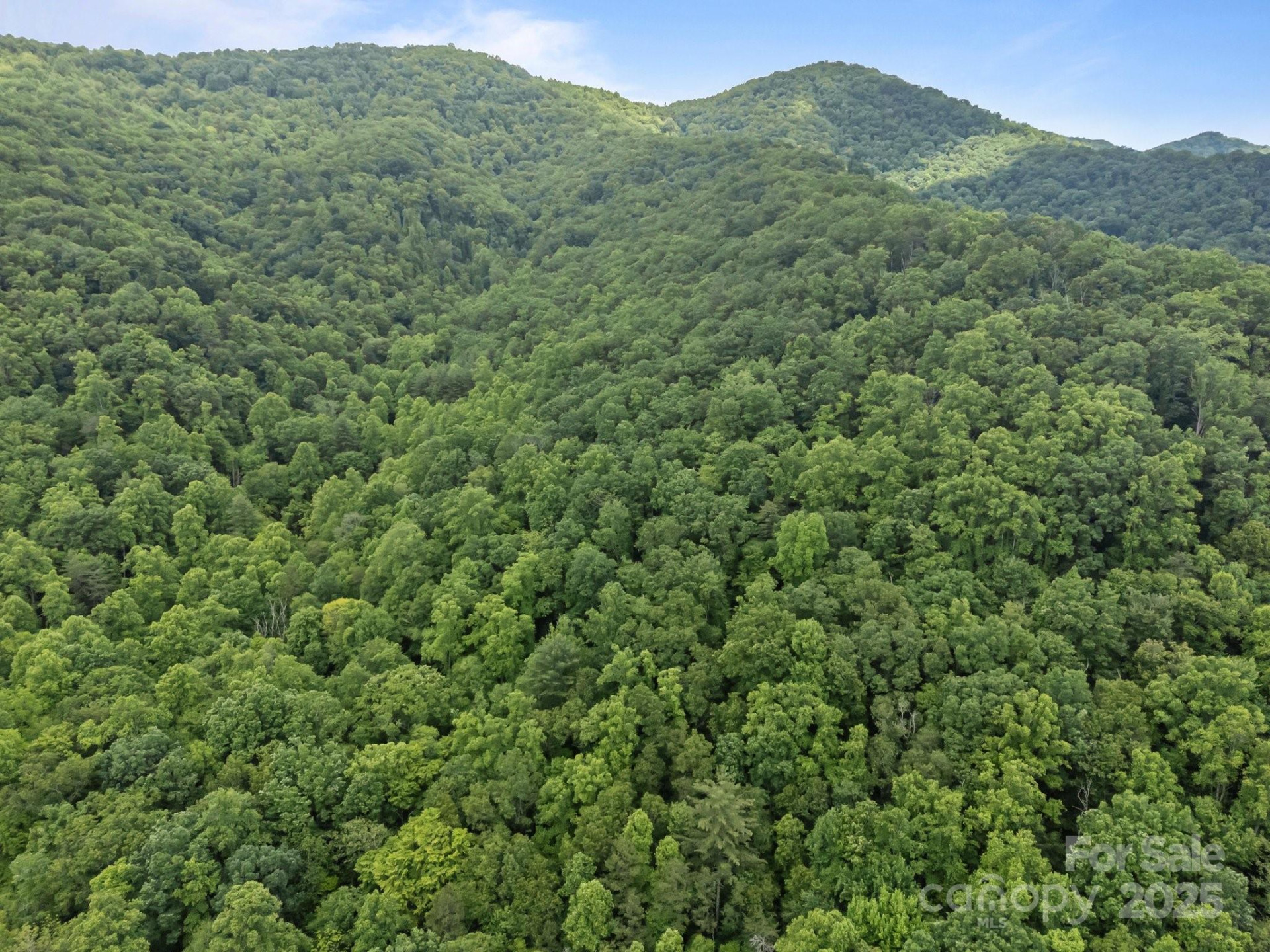 9999 Burnette Reeves Road - Photo 10