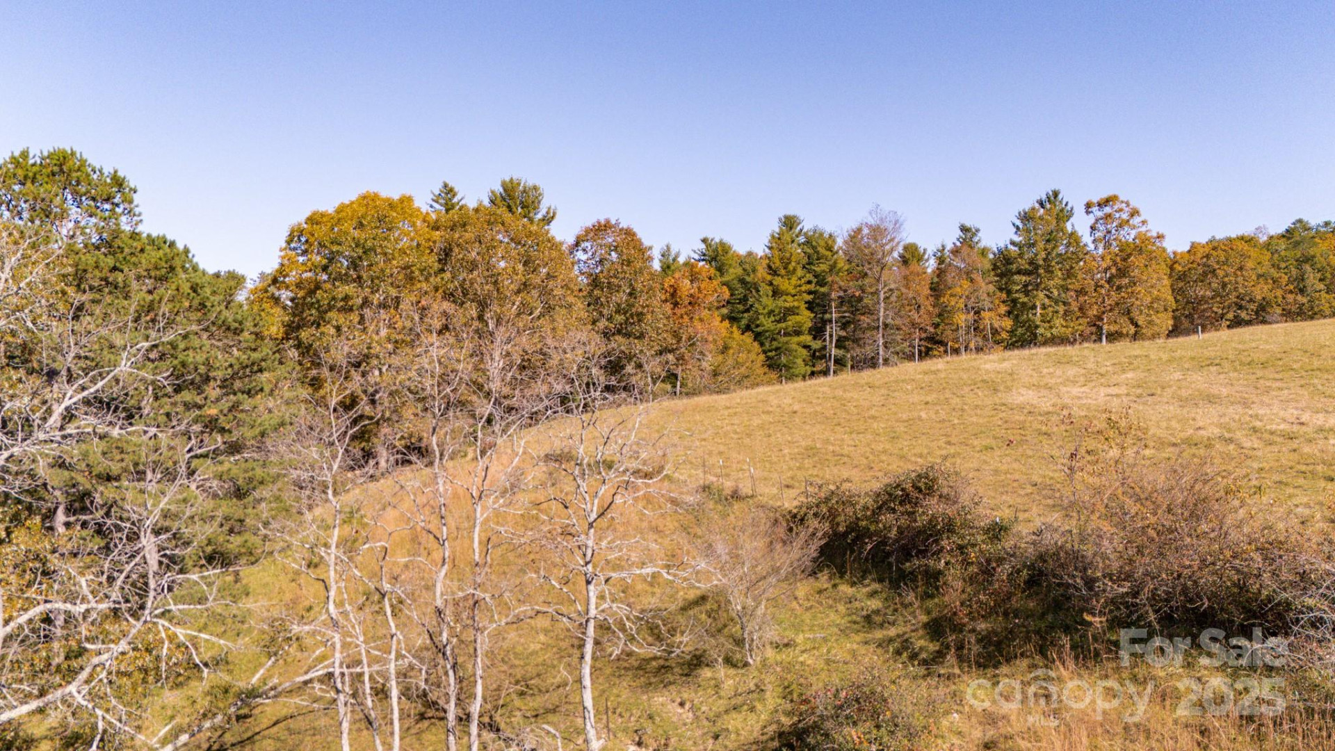 318 Monticello Road - Photo 11