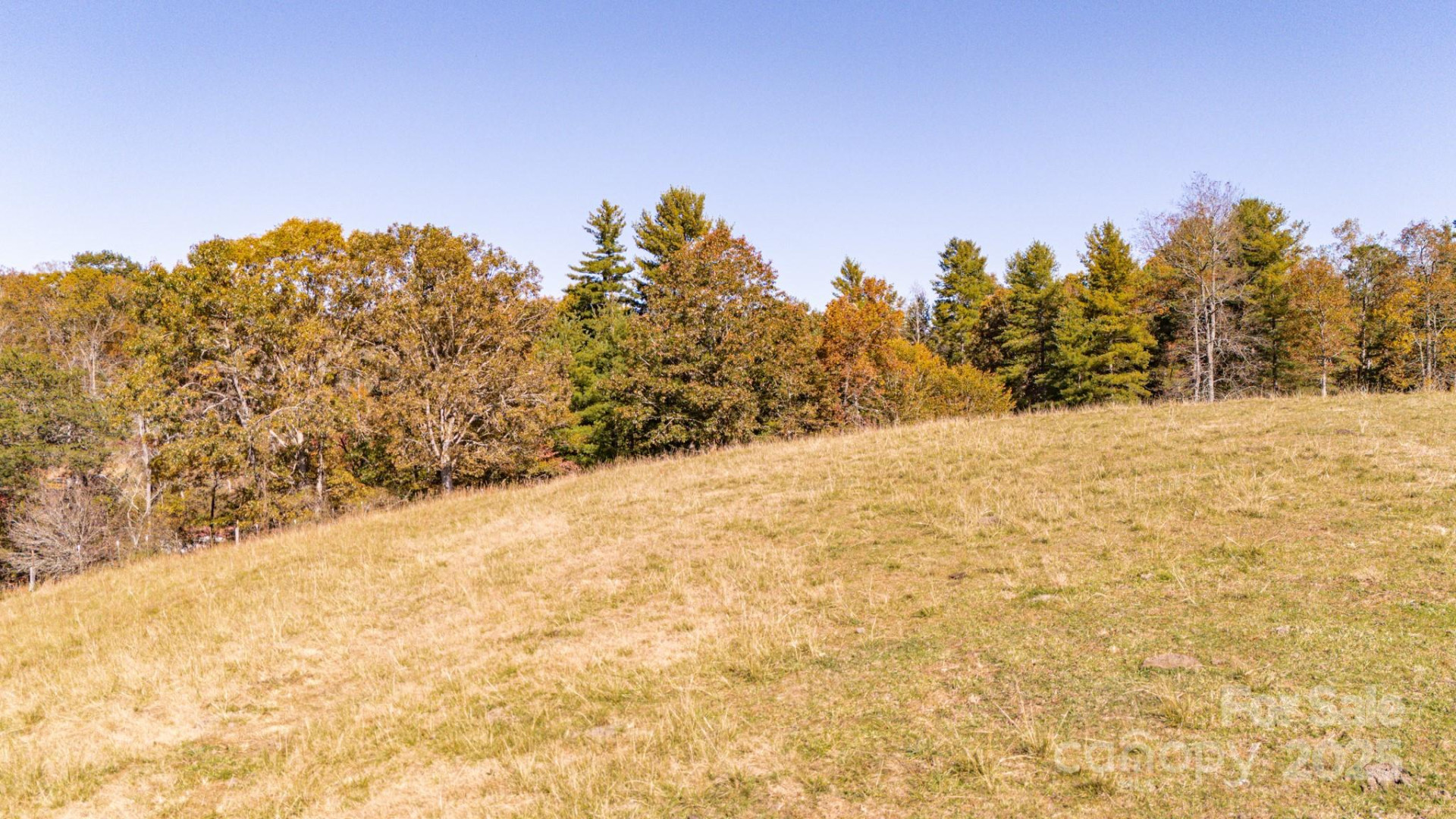 318 Monticello Road - Photo 4