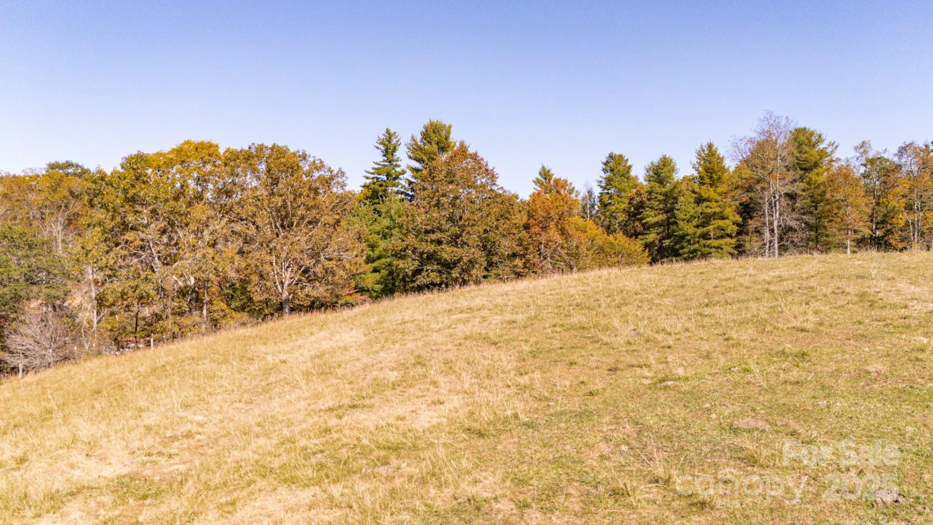 318 Monticello Road - Photo 4