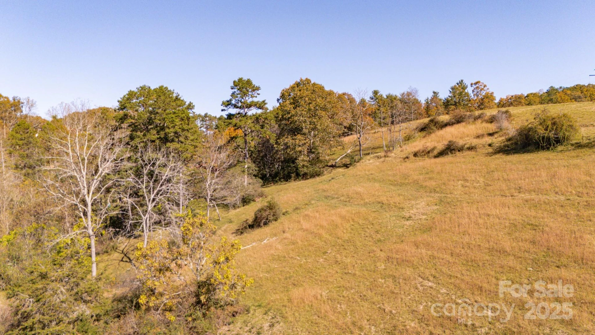 318 Monticello Road - Photo 5