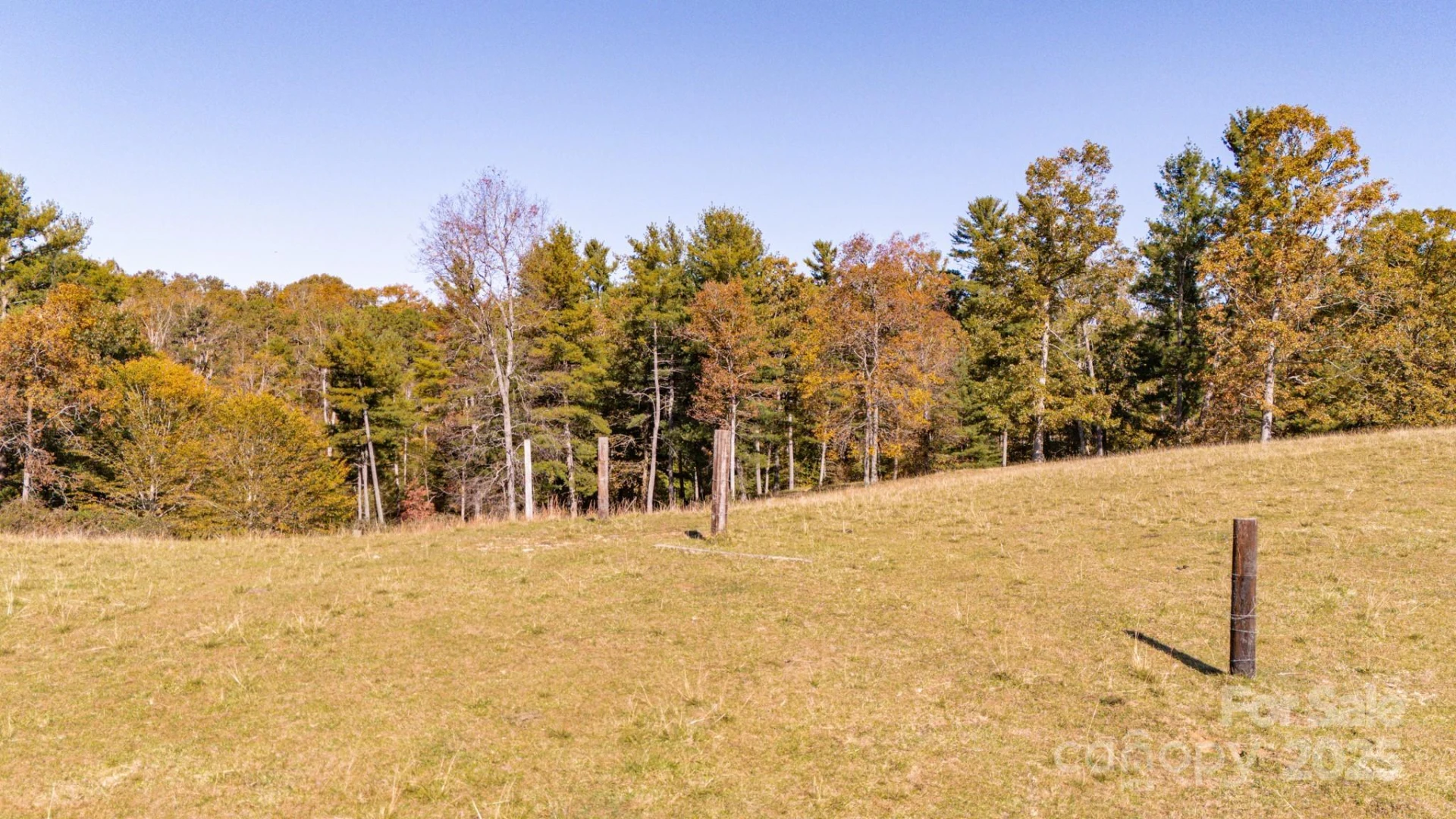 318 Monticello Road - Photo 6