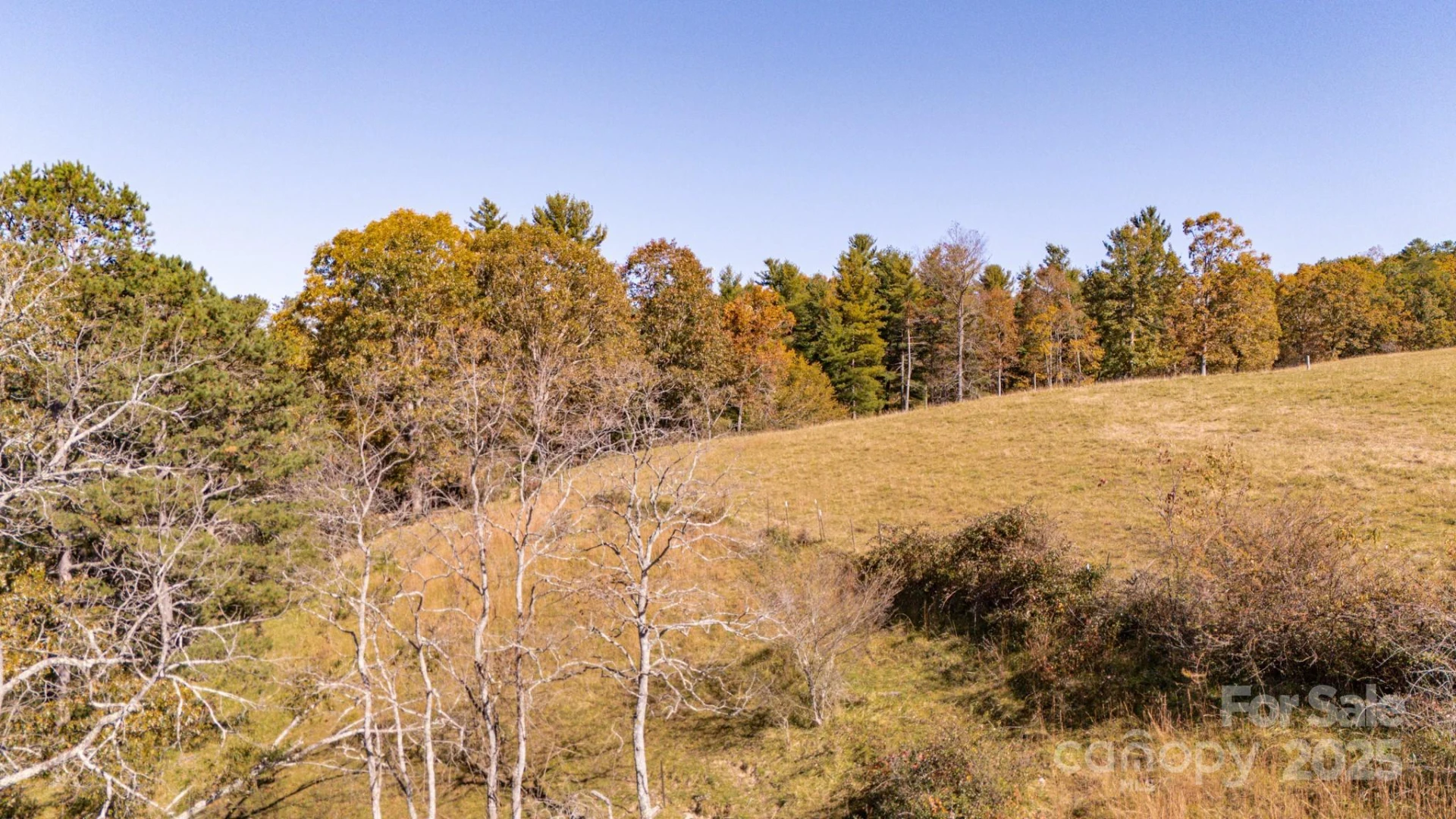 318 Monticello Road - Photo 7