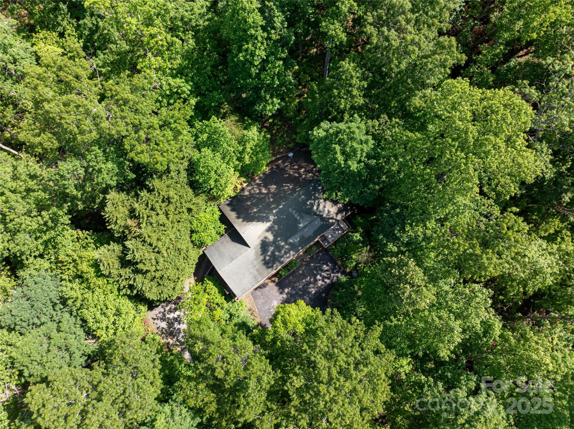 75 Cougar Lane - Photo 42