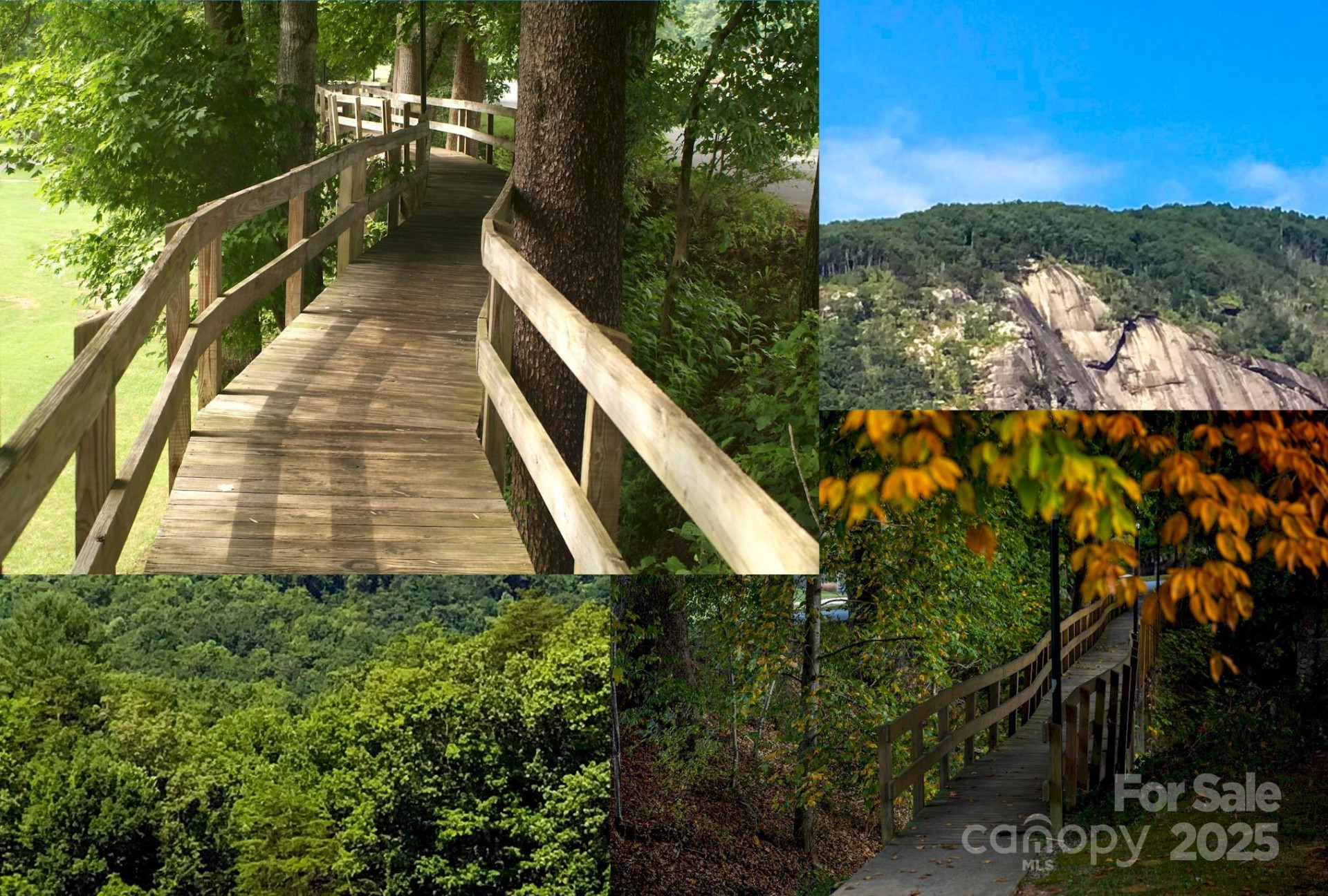 00 Searcy Court #Lot 89 - Photo 17