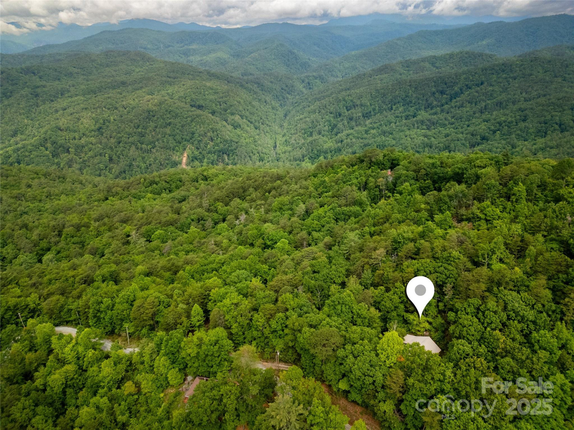 261 Franks Cove Road - Photo 4