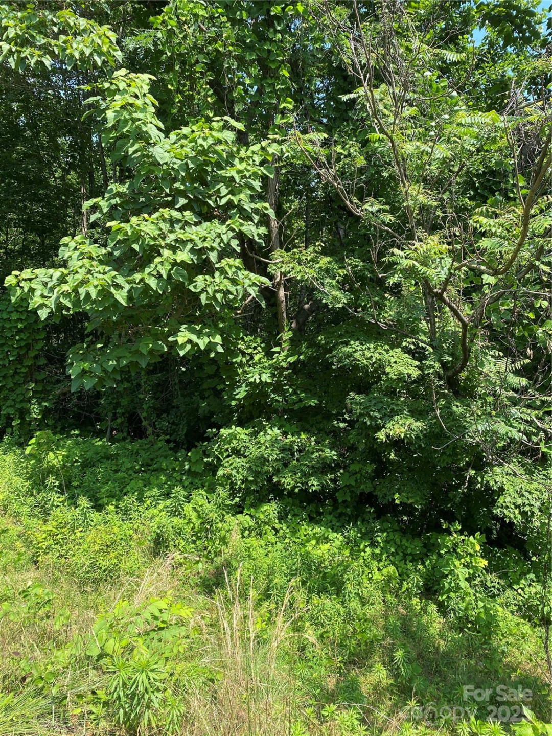 Lot 13 Highlands Drive - Photo 14