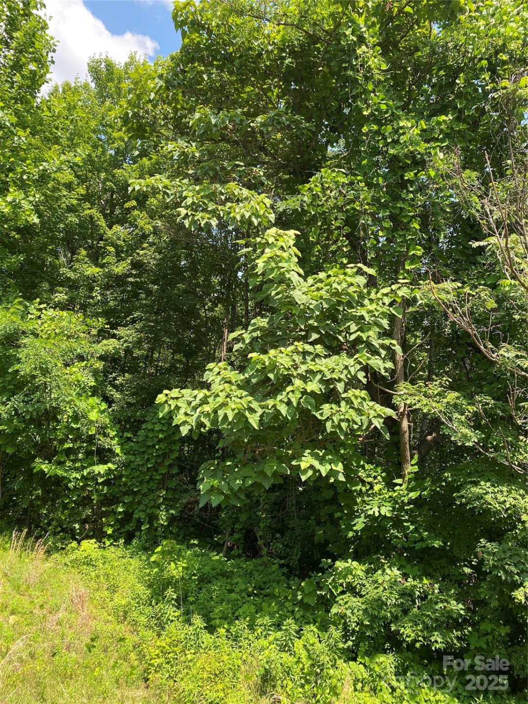 Lot 13 Highlands Drive - Photo 15