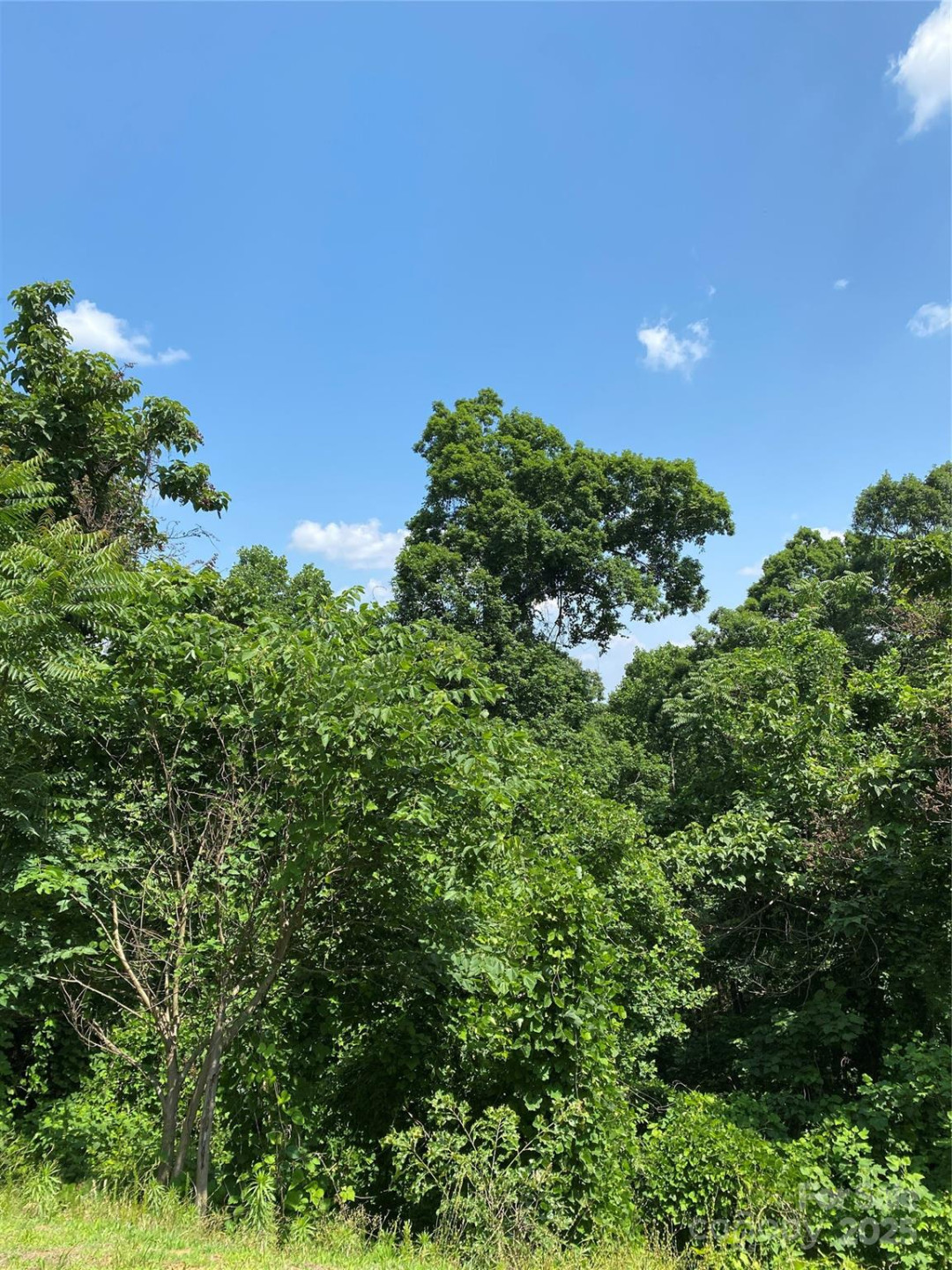 Lot 13 Highlands Drive - Photo 17