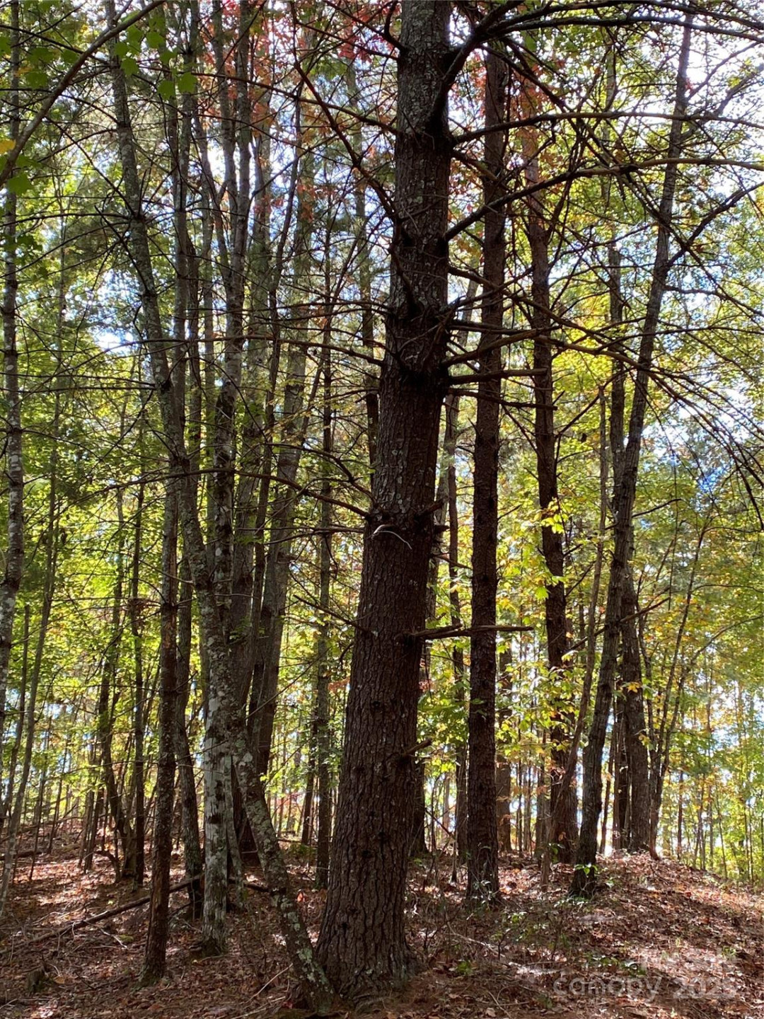 Lot 13 Highlands Drive - Photo 5