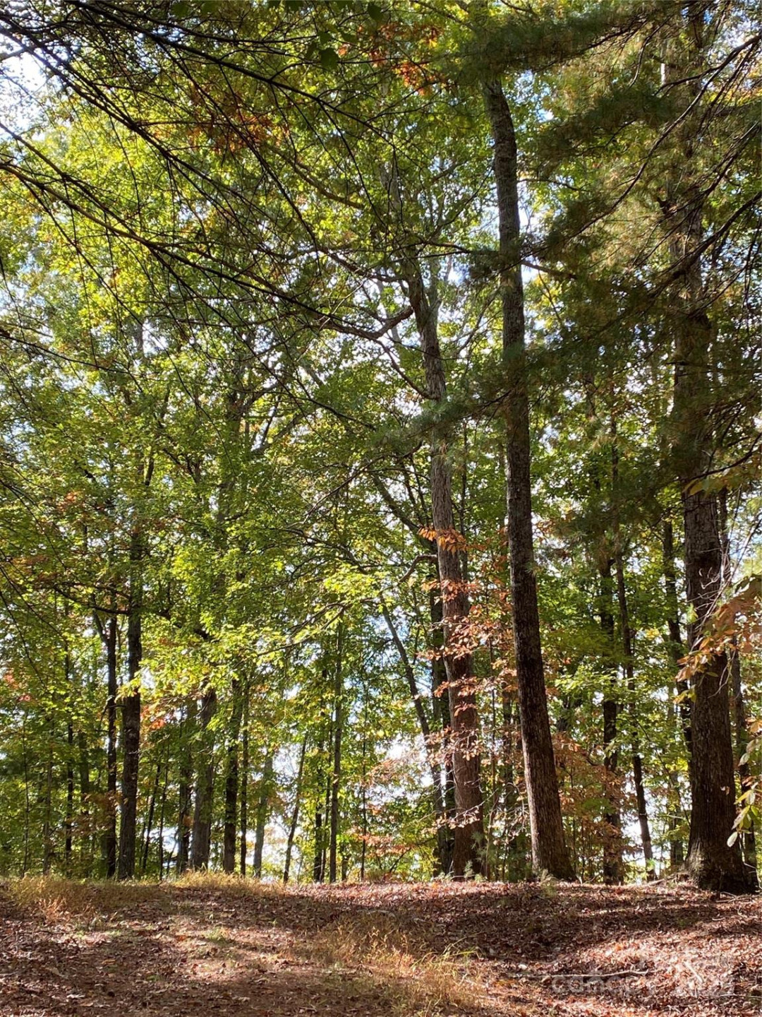 Lot 13 Highlands Drive - Photo 6