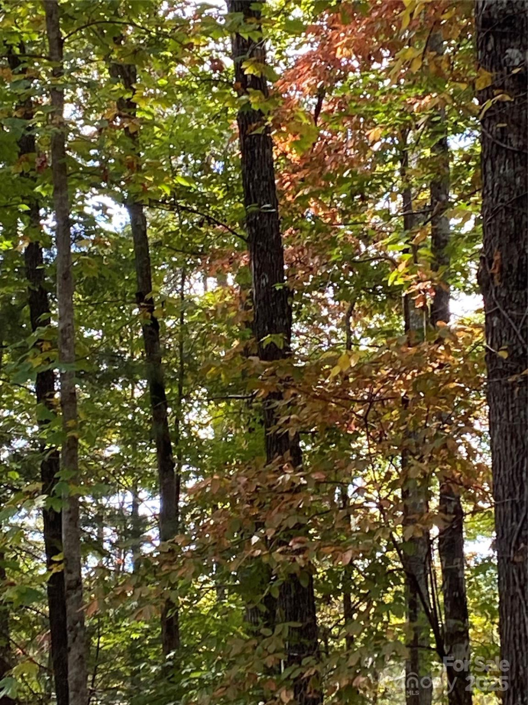 Lot 13 Highlands Drive - Photo 7