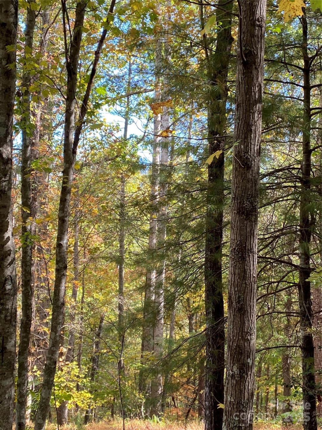 Lot 13 Highlands Drive - Photo 8