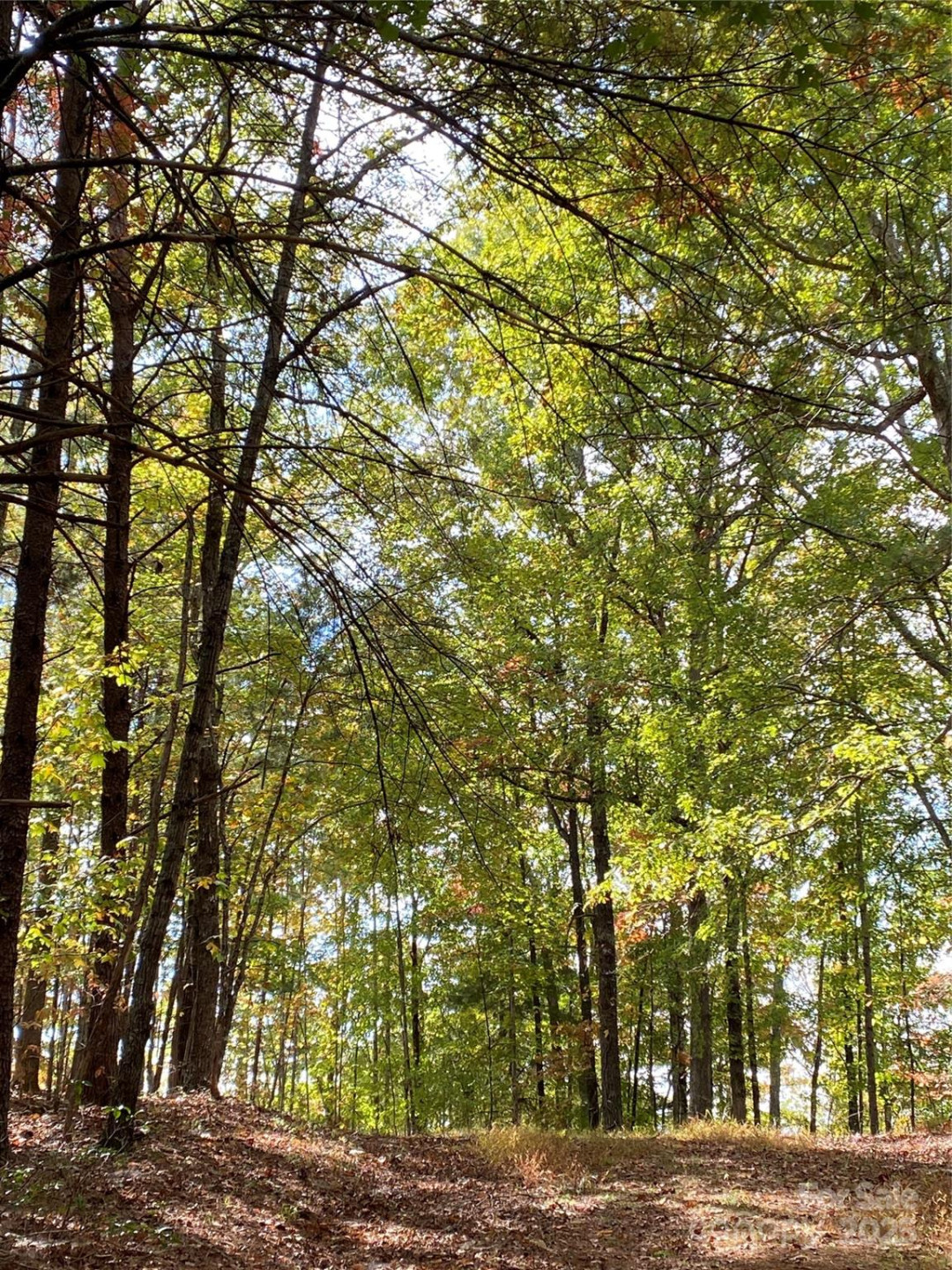 Lot 13 Highlands Drive - Photo 9