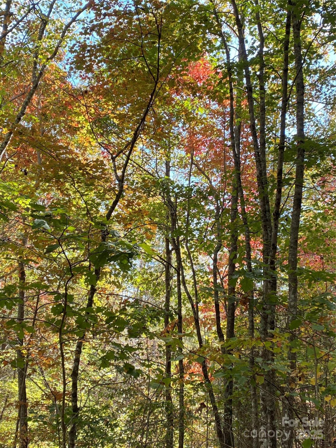 Lot 13 Highlands Drive - Photo 10