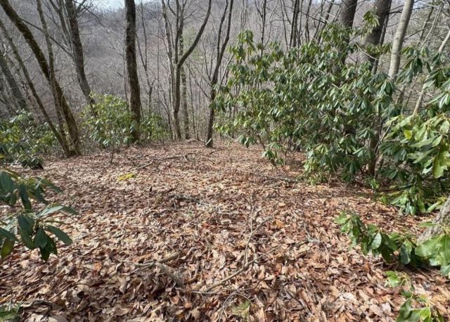 TBD Big Ridge Road, Bakersville, NC, 28705