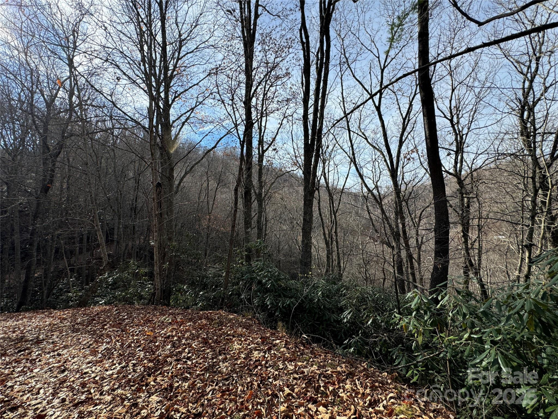 TBD Big Ridge Road - Photo 2