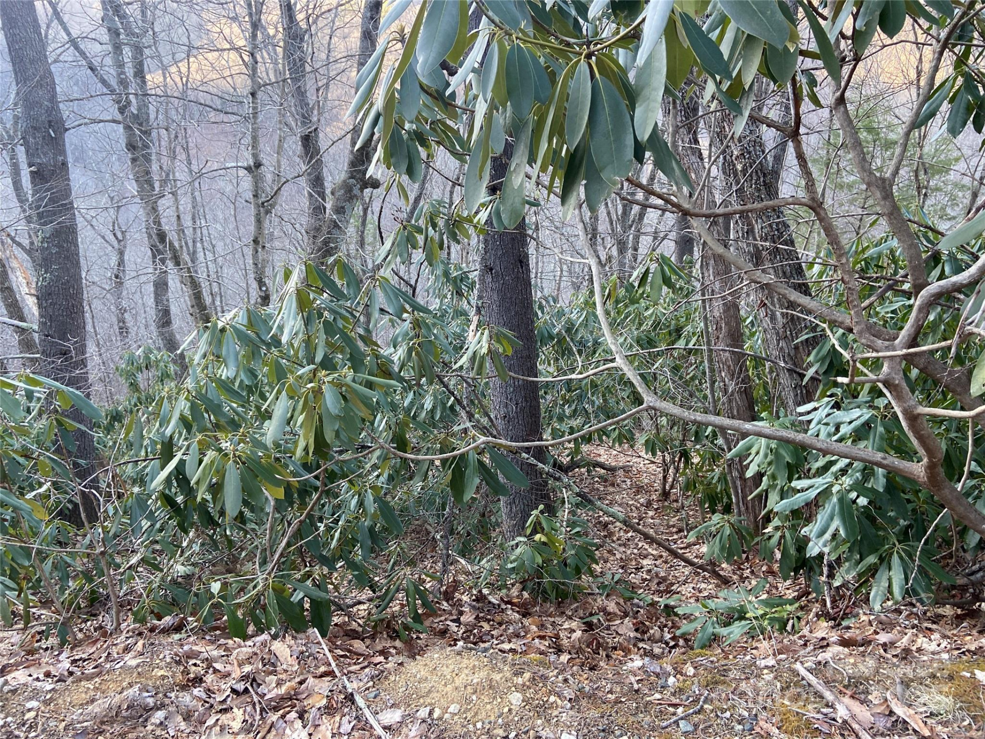 TBD Big Ridge Road - Photo 4