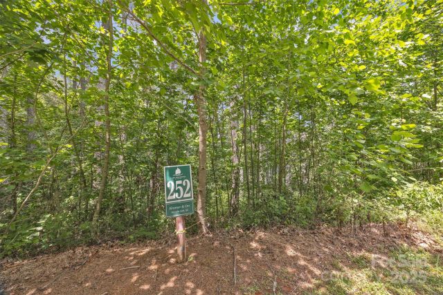 486 Settings Boulevard