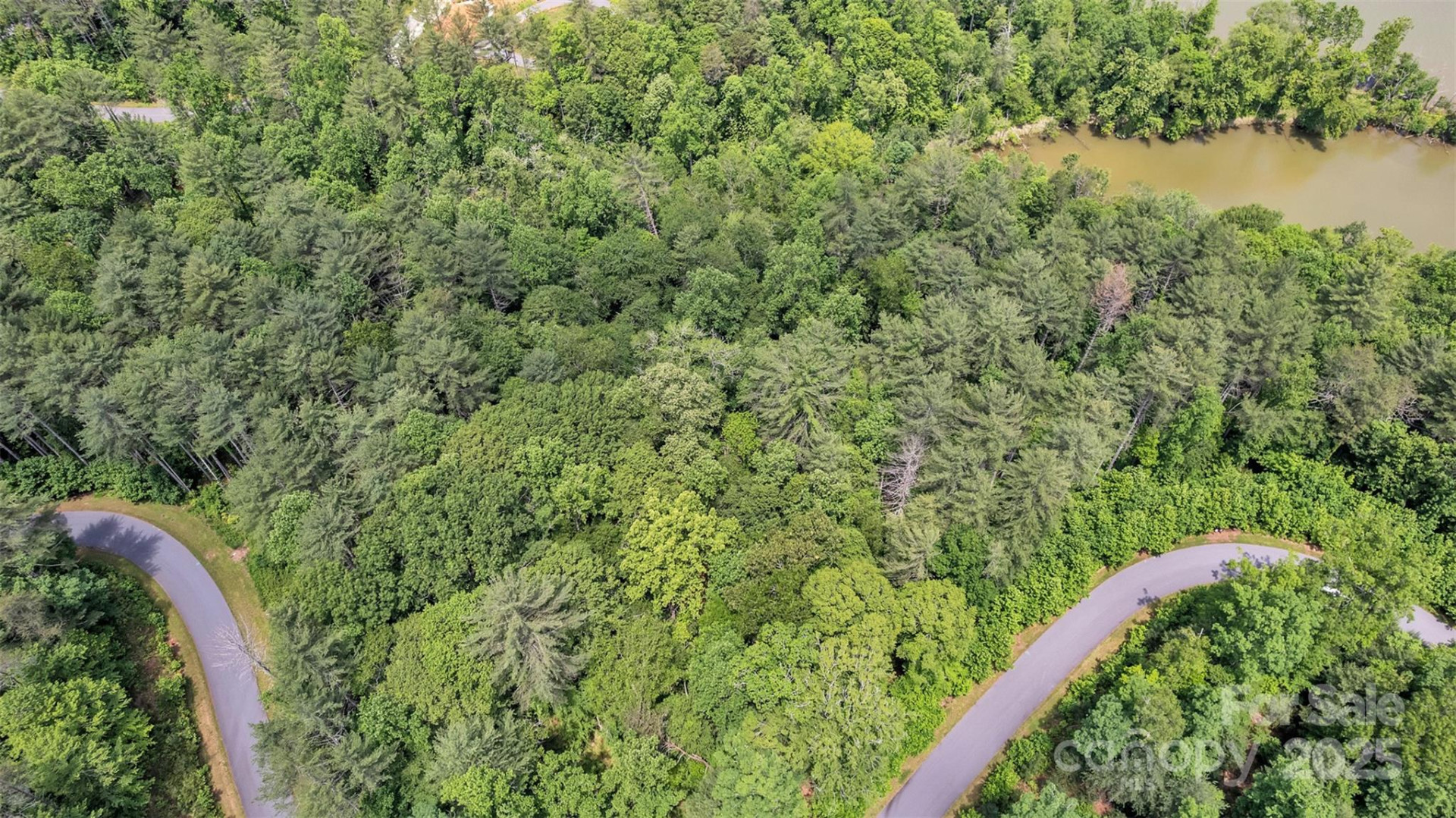 486 Settings Boulevard #252 - Photo 6