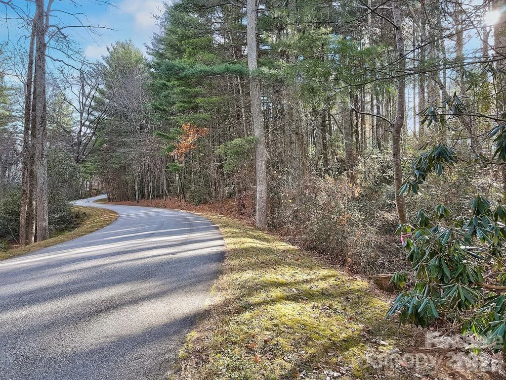 000 Ravenwood Drive #6 - Photo 2