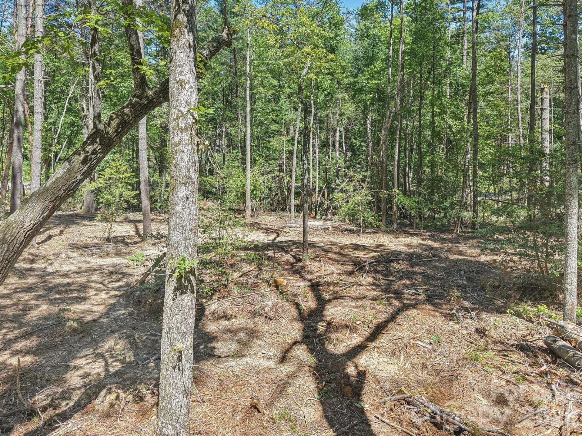 000 Ravenwood Drive #6 - Photo 11